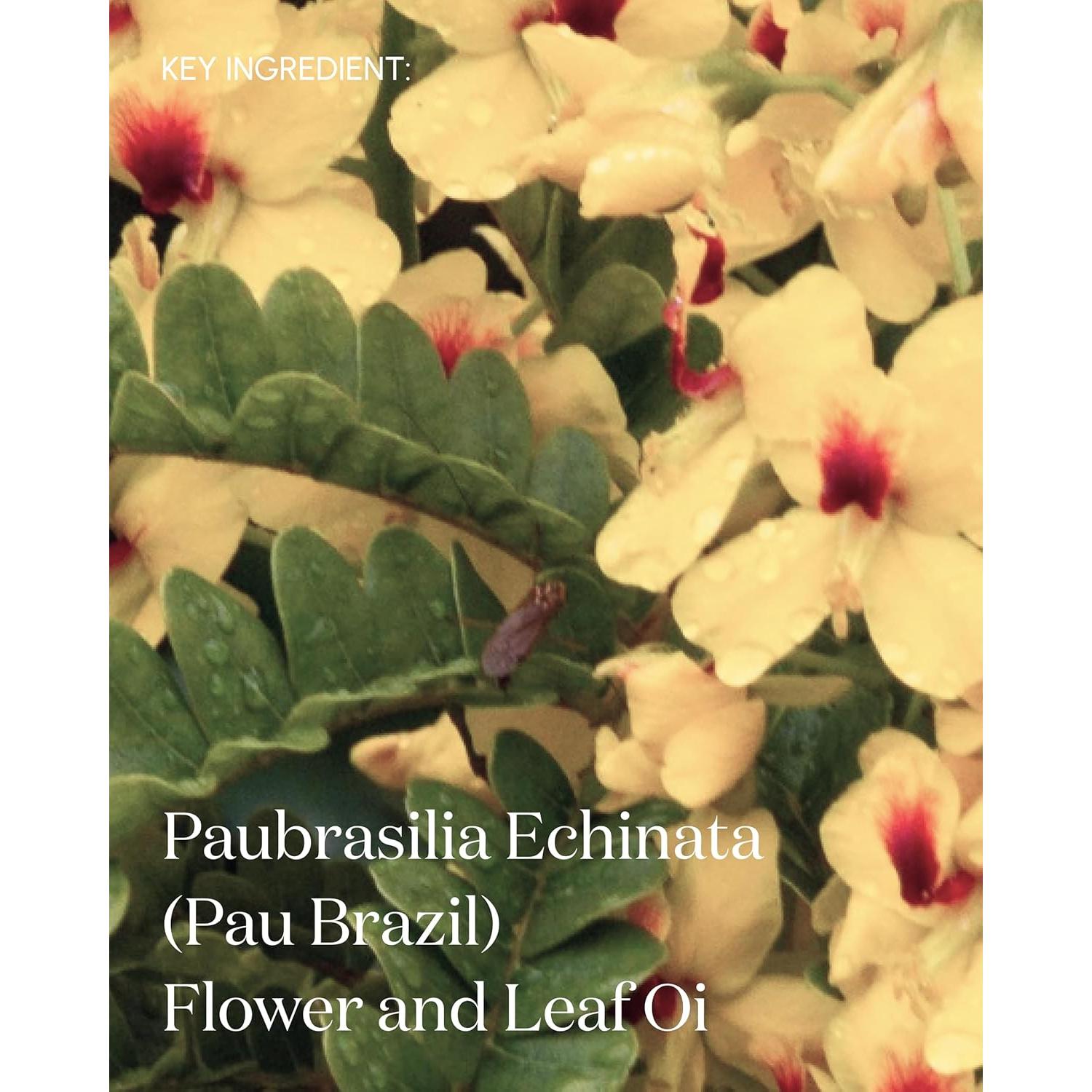 Aceite Corporal Postbiómico Symbiome 100 mL Vegano Hidratante