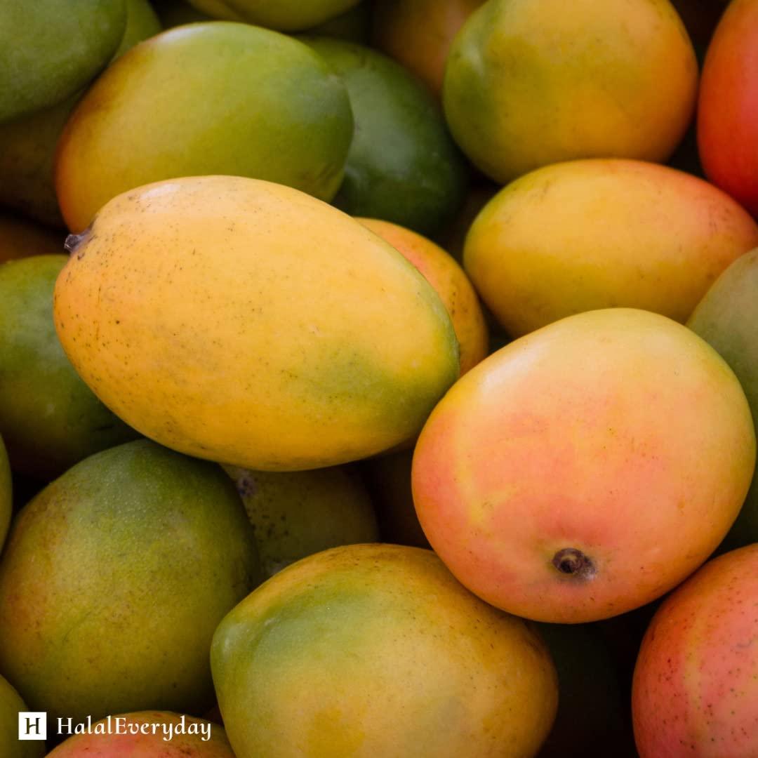 Manteca de Mango KYABO 1.36 Kg Orgánica Virgen Sin Refinar