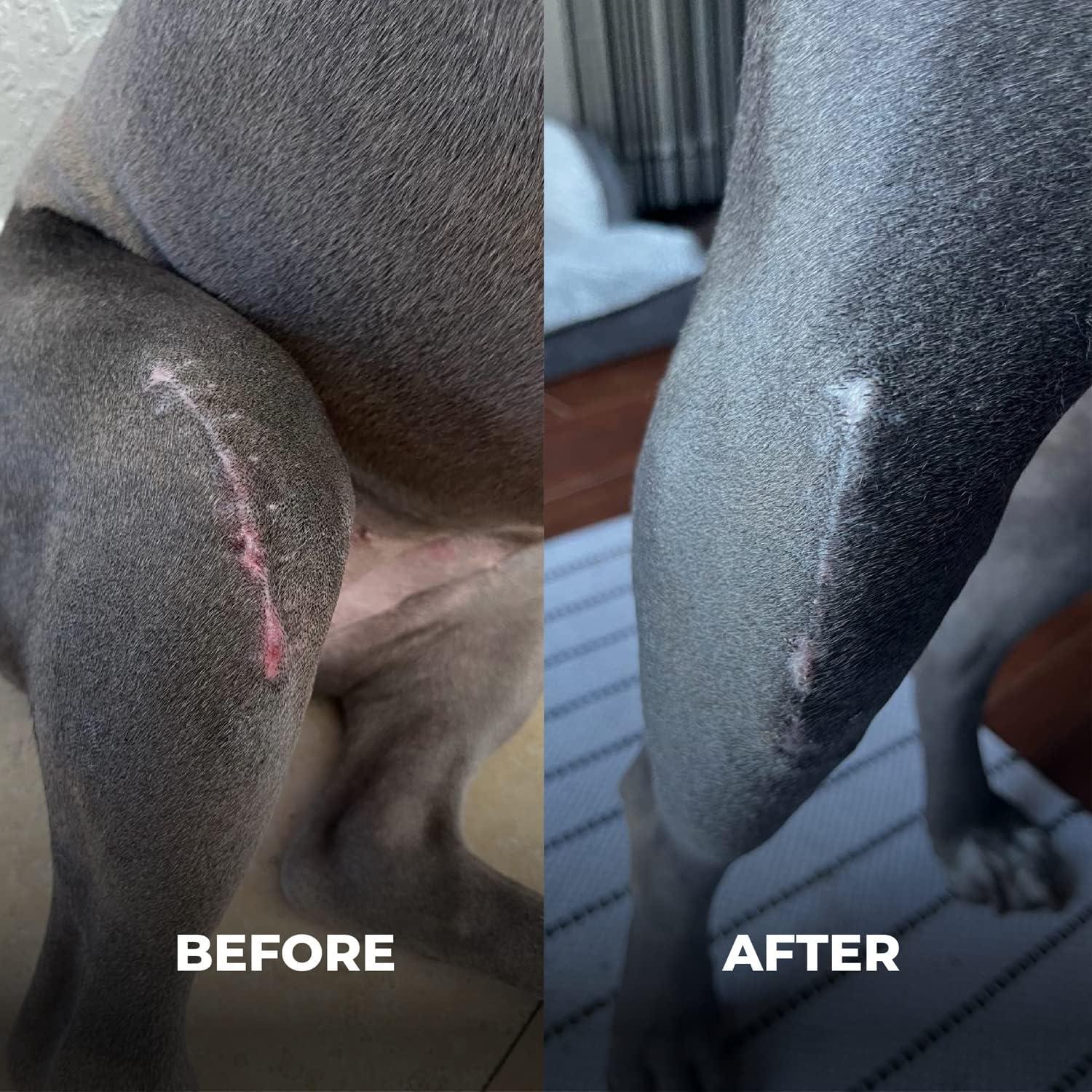 Cuidado de Piel para Bulldogs TPAH - Paquete de 3 Productos