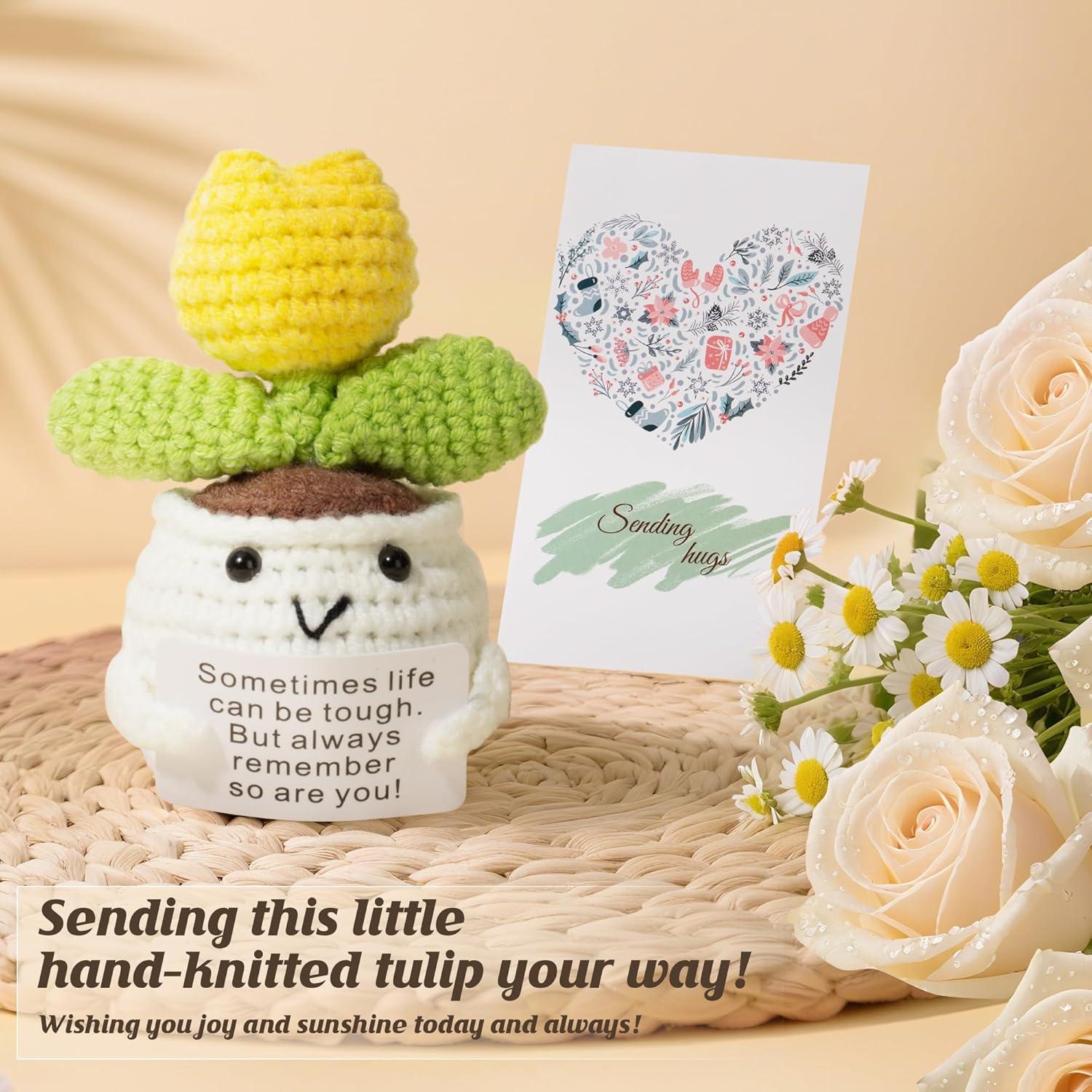 Set de Regalo de Spa y Cuidado Personal ENVTEK - 11 Artículos