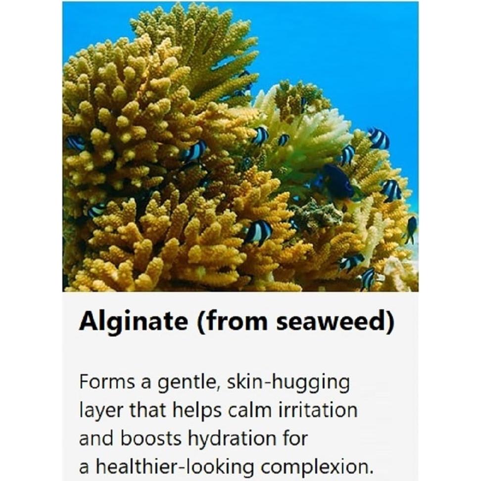 Máscara de Modelado Anskin 240g - Té Verde Hidratante