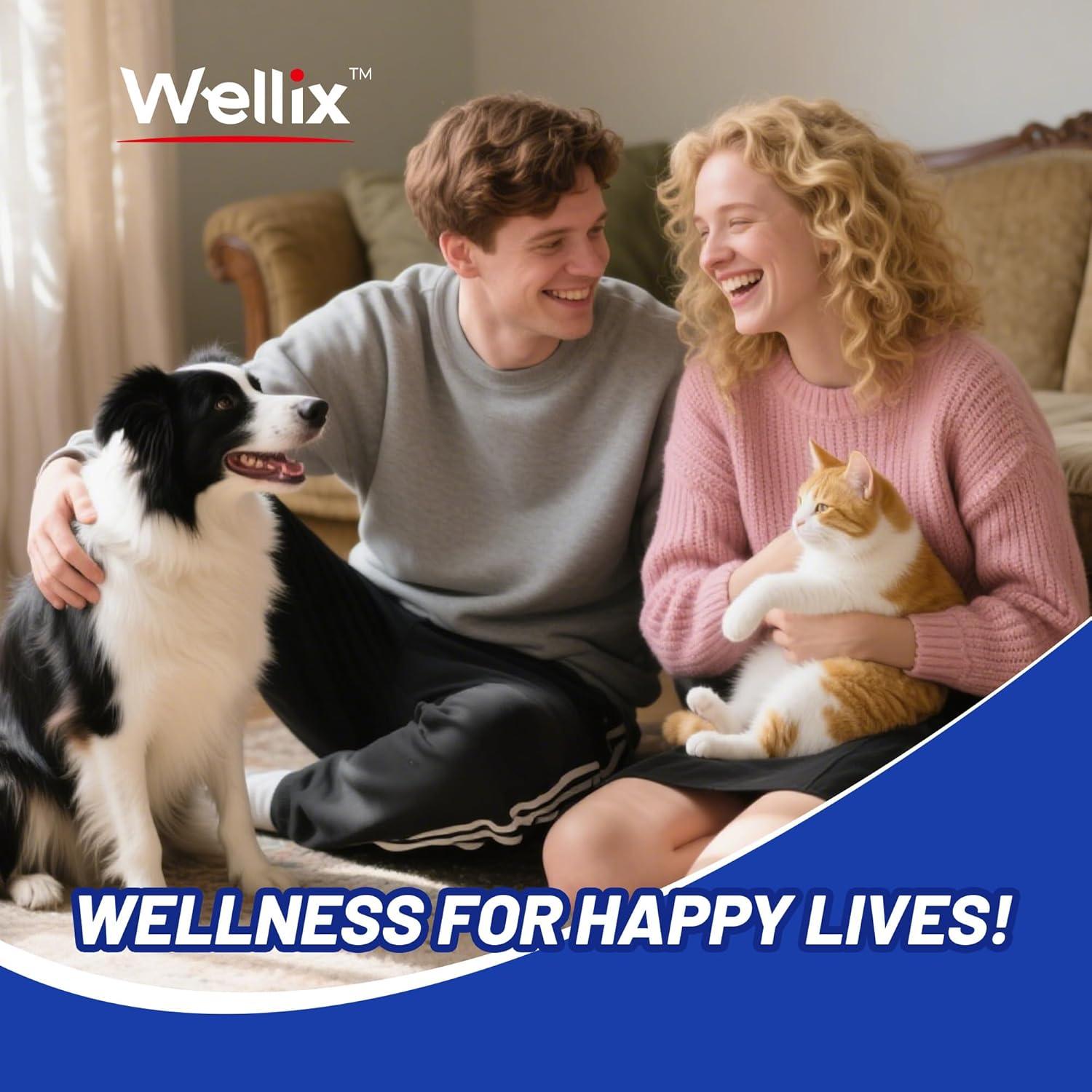 Spray Alivio Picazón Wellix 100ml para Perros y Gatos