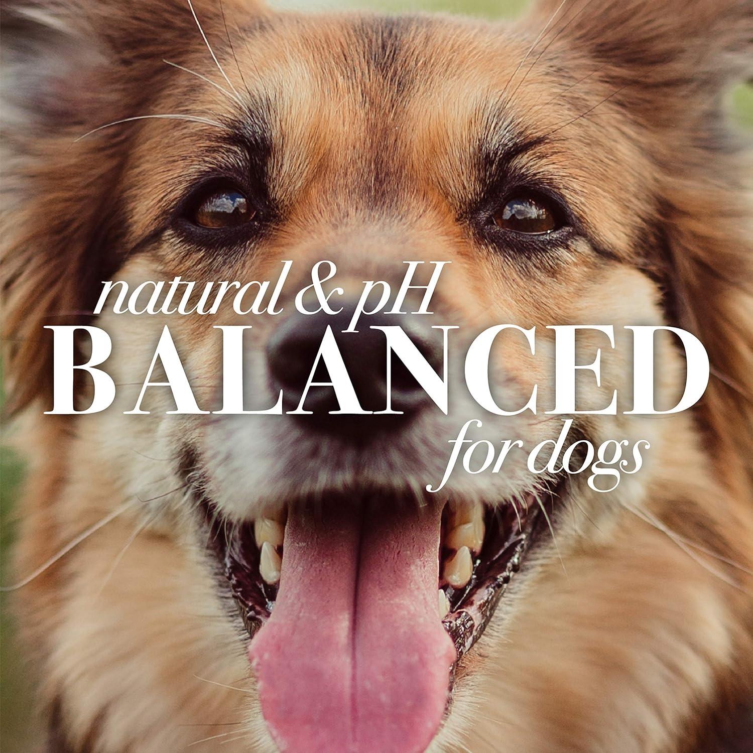 Acondicionador de Avena Burt's Bees para Perros 295 ml