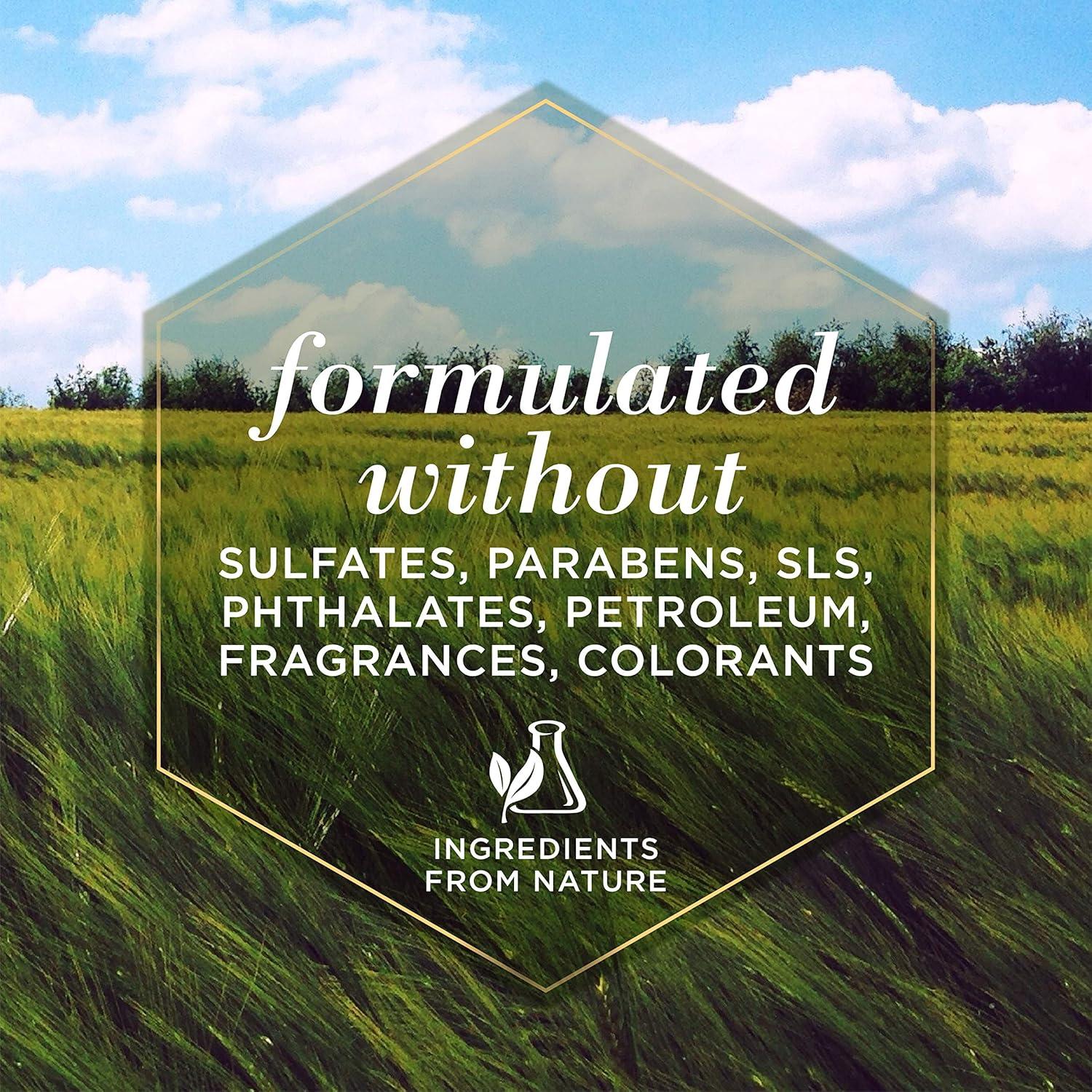 Spray Calmante para Picazón Burt's Bees 295 ml - Paquete de 2