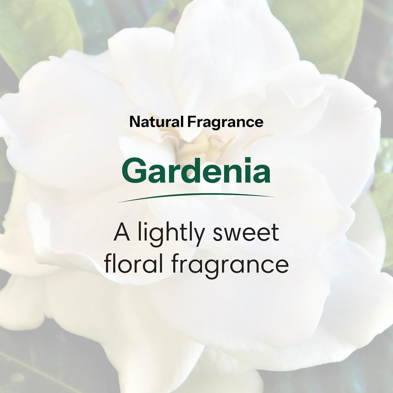 Gel de Ducha Hidratante ShiKai Gardenia 340g Paquete de 2