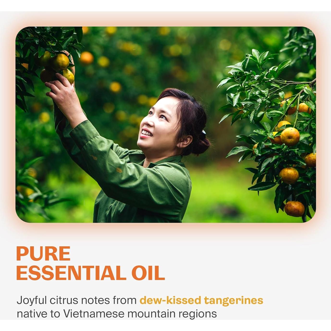 Jabón de Manos Espumoso Fuwa3e 286ml Natural Mandarina