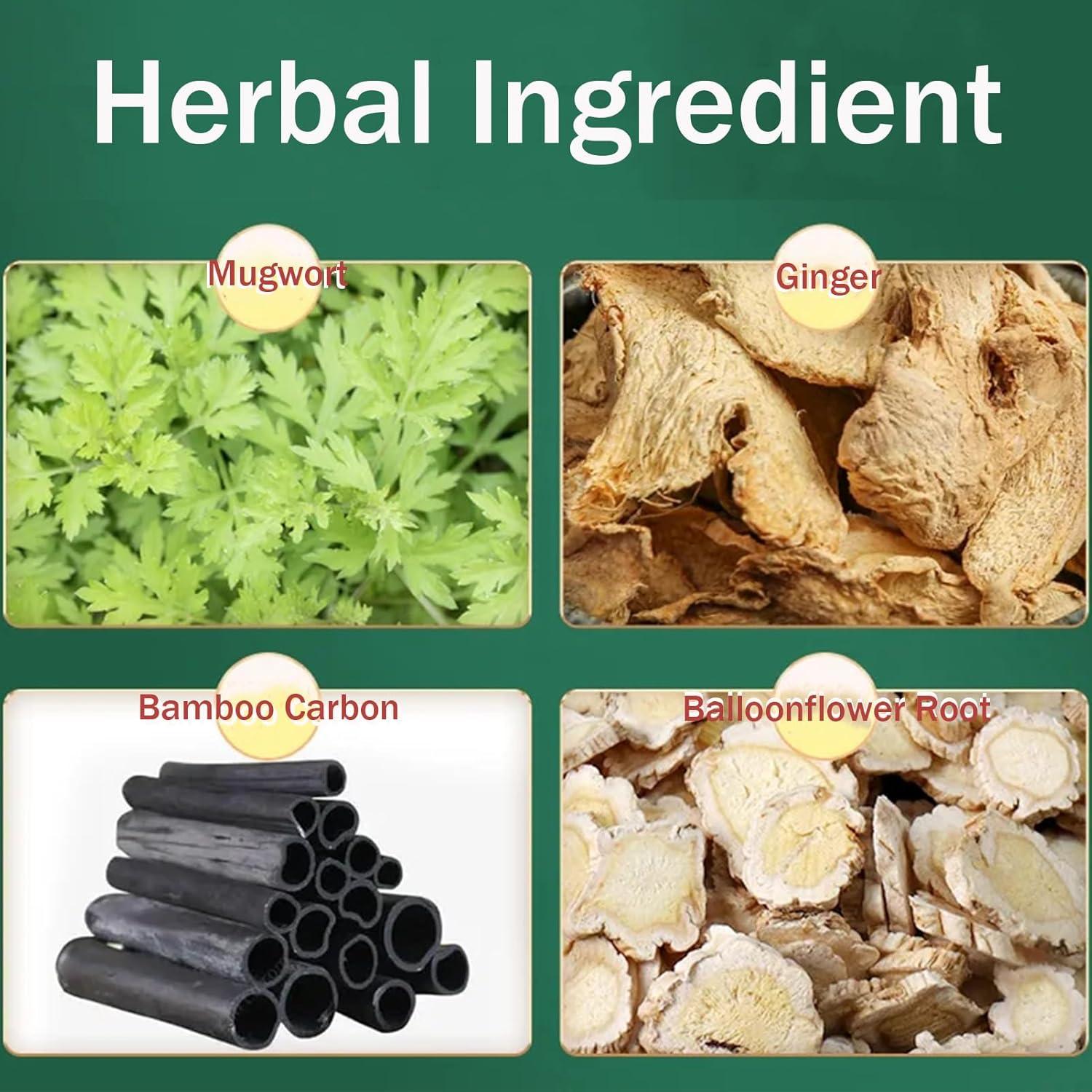 Parches Desintoxicantes de Jengibre Rosarden - 10 Piezas