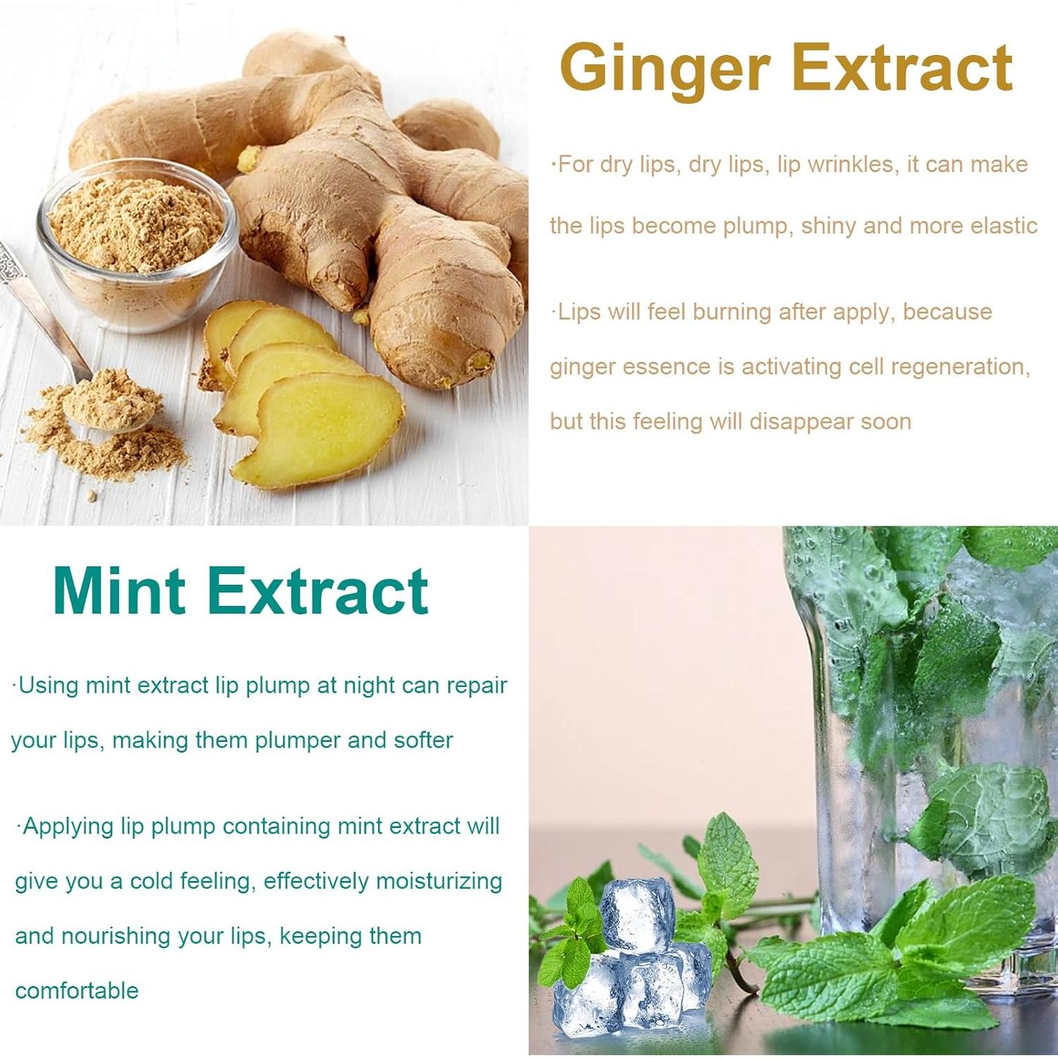 Juego de Aumento de Labios Rosarden - Voluminizador Hidratante