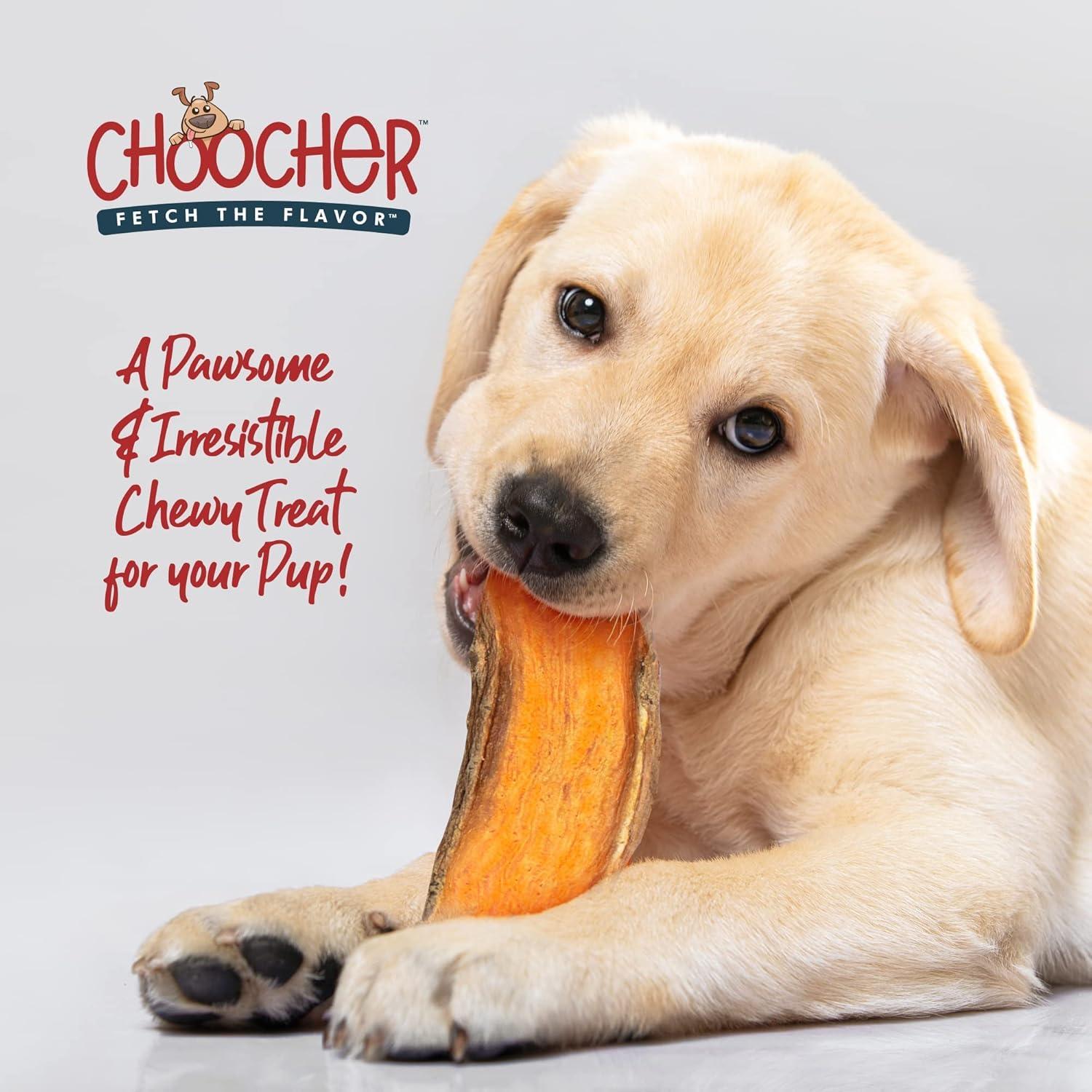 Galletas Veganas para Perros CHOOCHER de Batata 396g - Sin Gluten