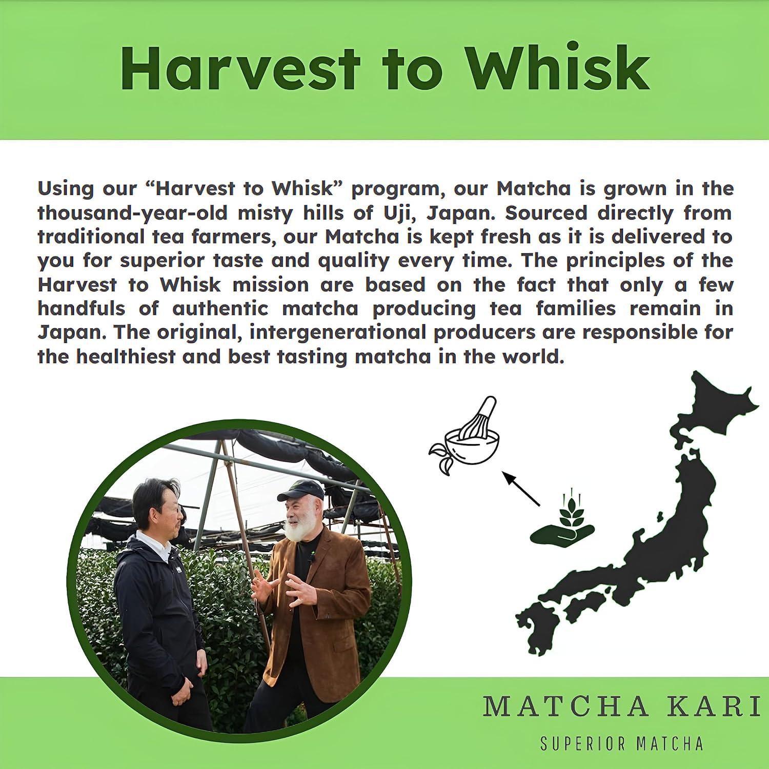 Palitos de Matcha Orgánico Ceremonial Dr. Weil - 12 Unidades