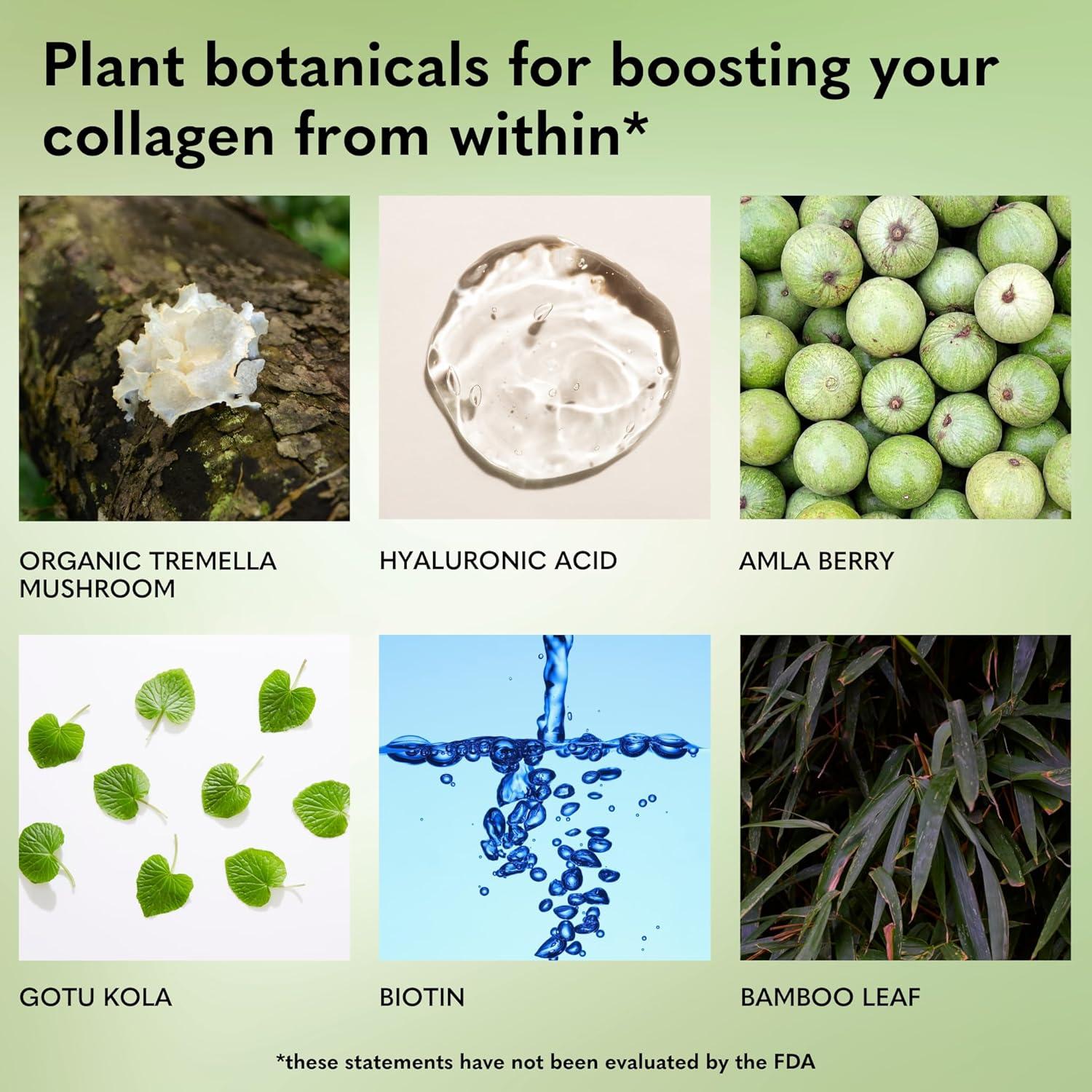 Mezcla de Bebida de Colágeno Vegano Copina Co. Sabor Matcha - 10 Paquetes