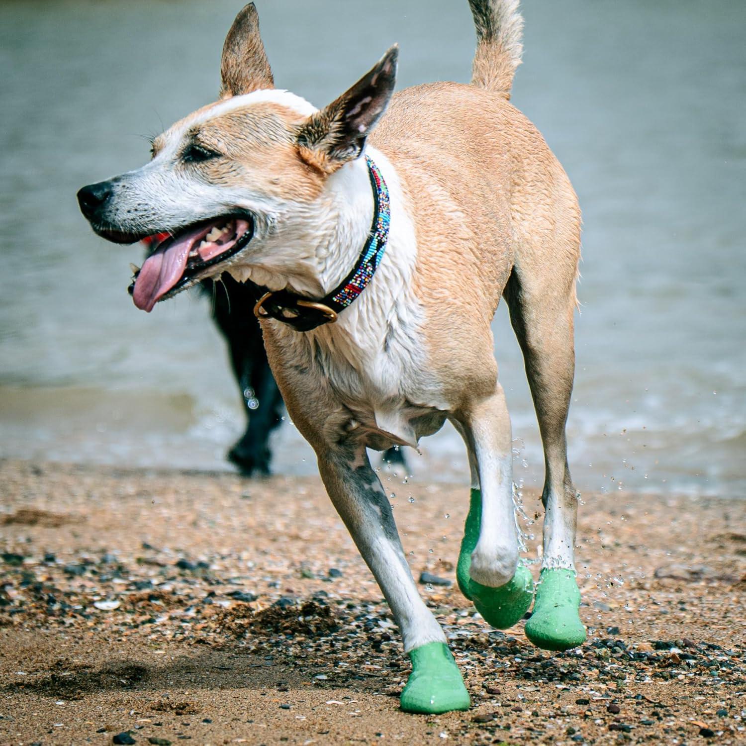 Botas para Perros Paw-Skins 2.0 Medianas Verde Matcha