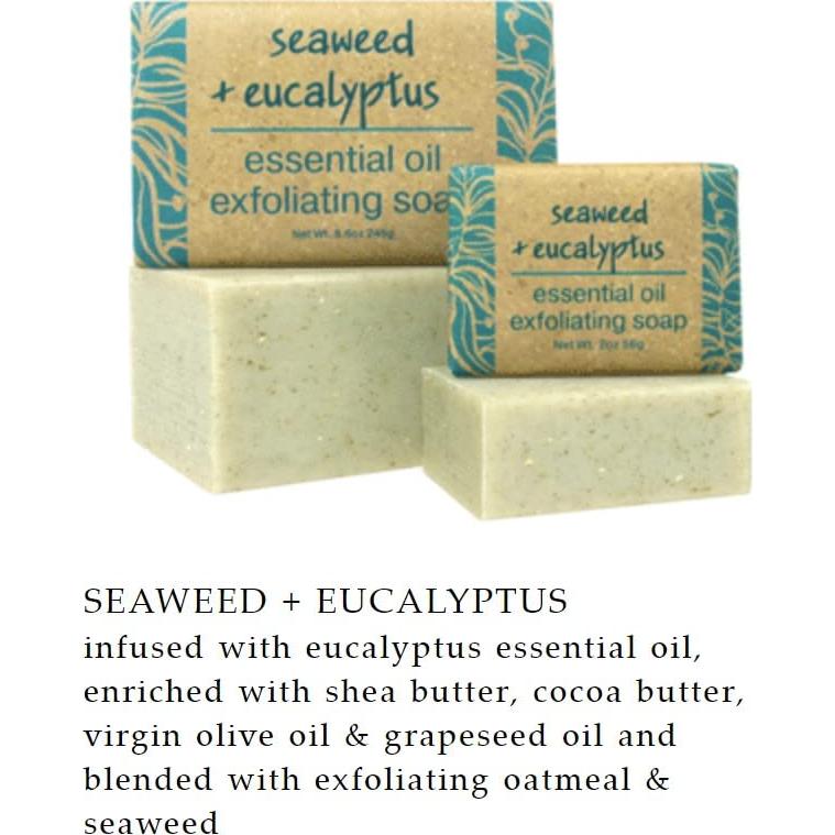Jabón Exfoliante de Algas Marinas y Eucalipto Greenwich Bay - 2 Unidades 244g
