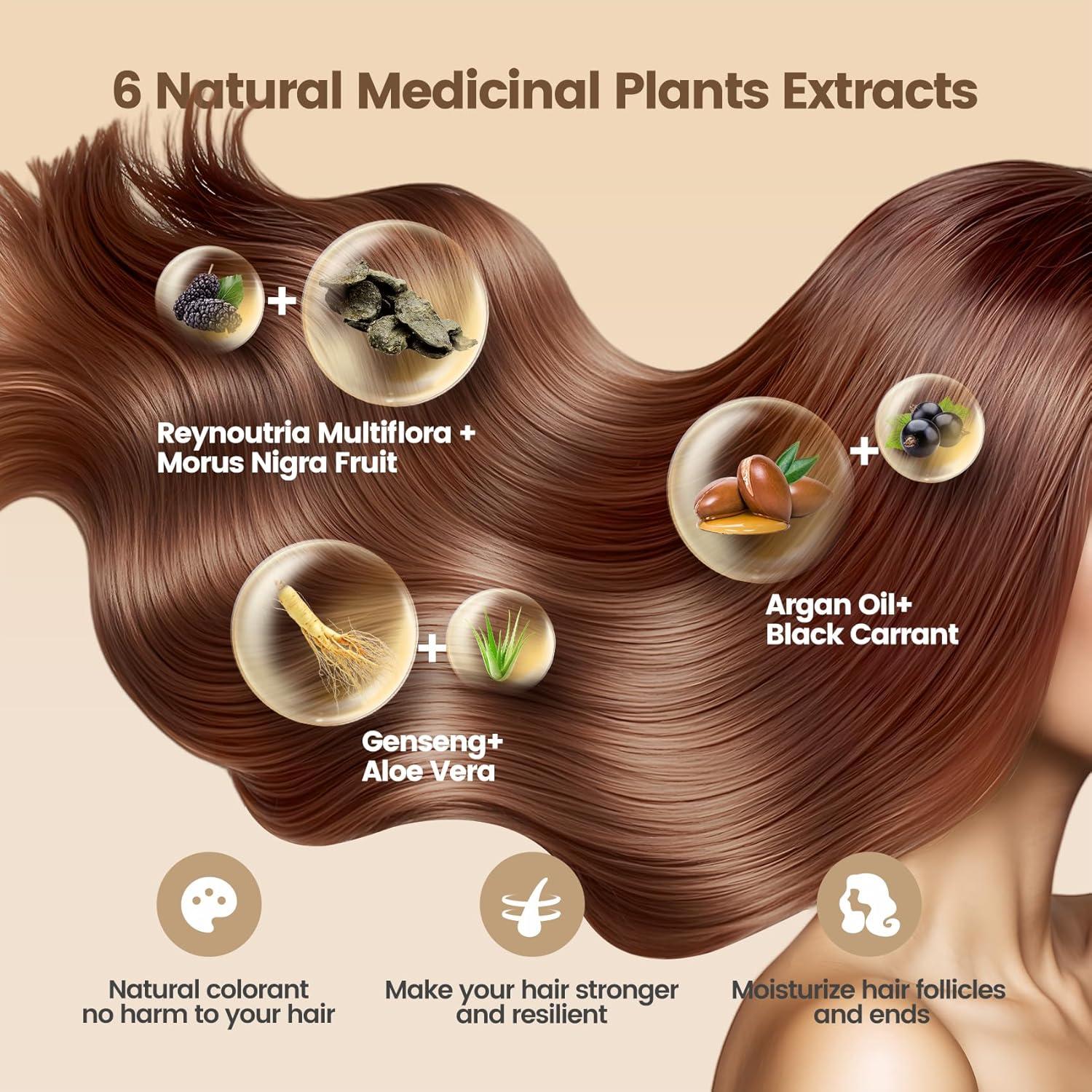 Champú Color Castaño 6-en-1 Limer 460ml - Natural y Sin Amoníaco