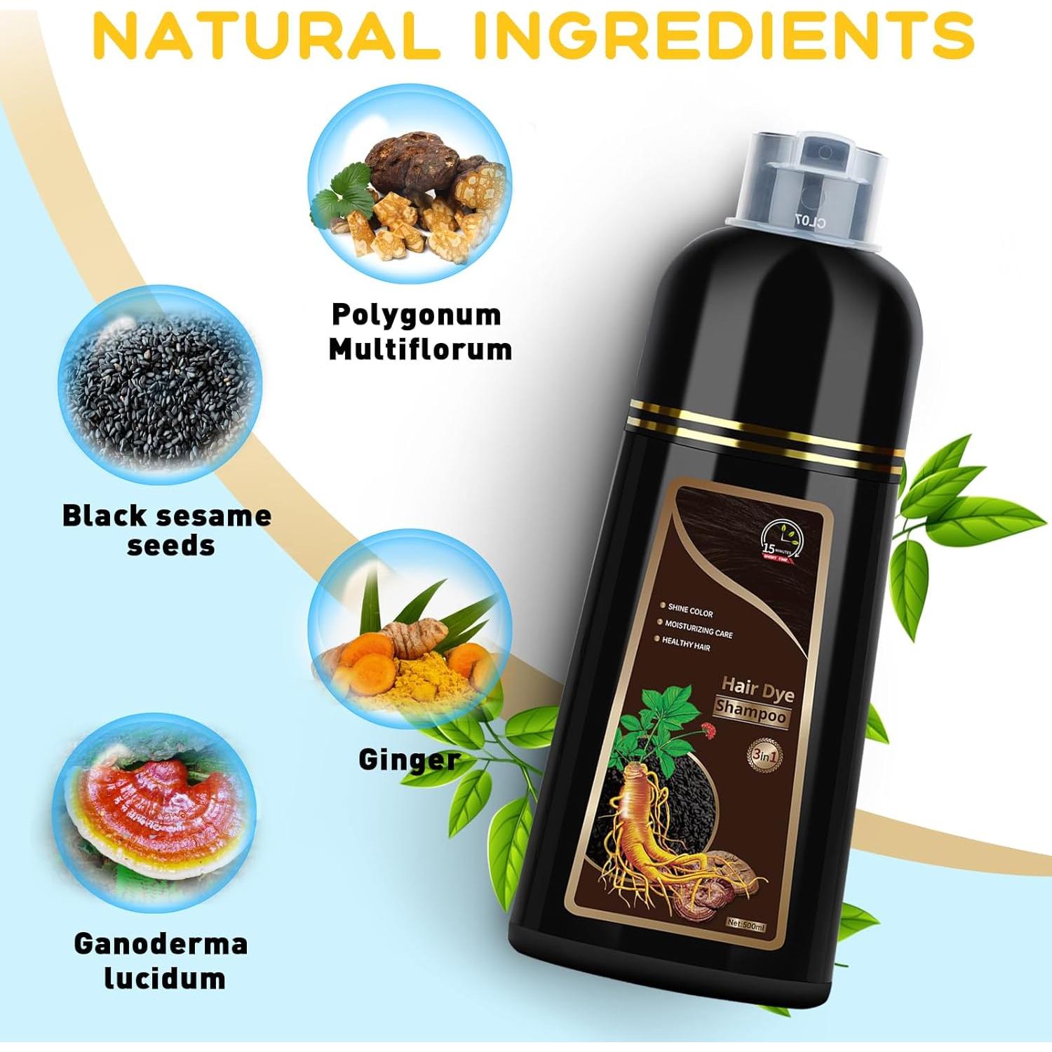 Champú Tinte Herbal 3 en 1 Temgofeau 500ml Castaño