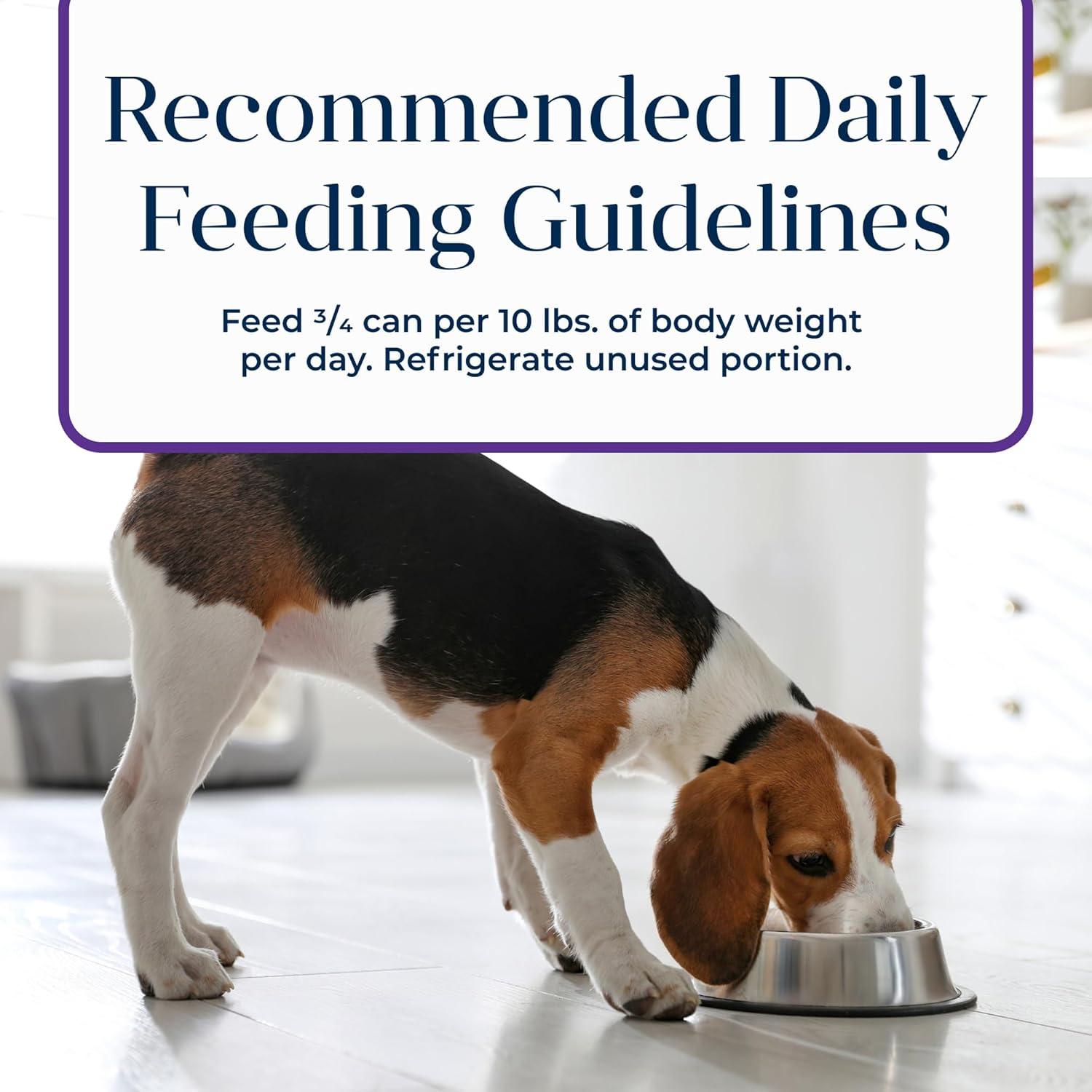 Comida Húmeda para Perros Adultos Blue Buffalo 12 Latas Pavo