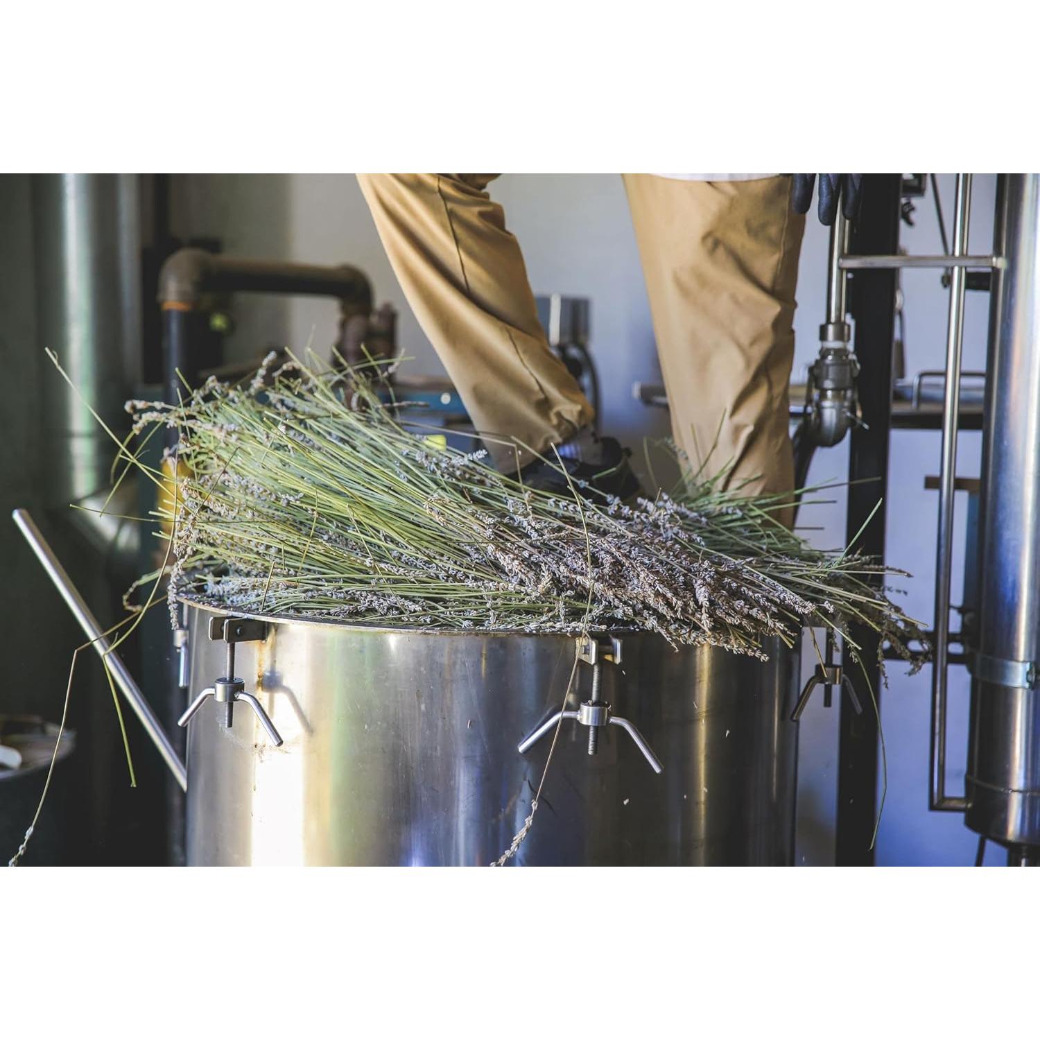 Hydrosol de Lavanda Orgánica Tumalo 226.8 ml - Tónico Facial