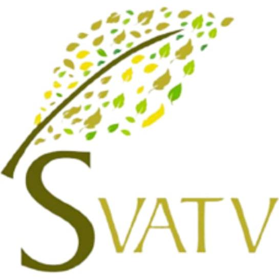 Polvo de Carbón Activado SVATV 227g | Mascarilla Facial Natural