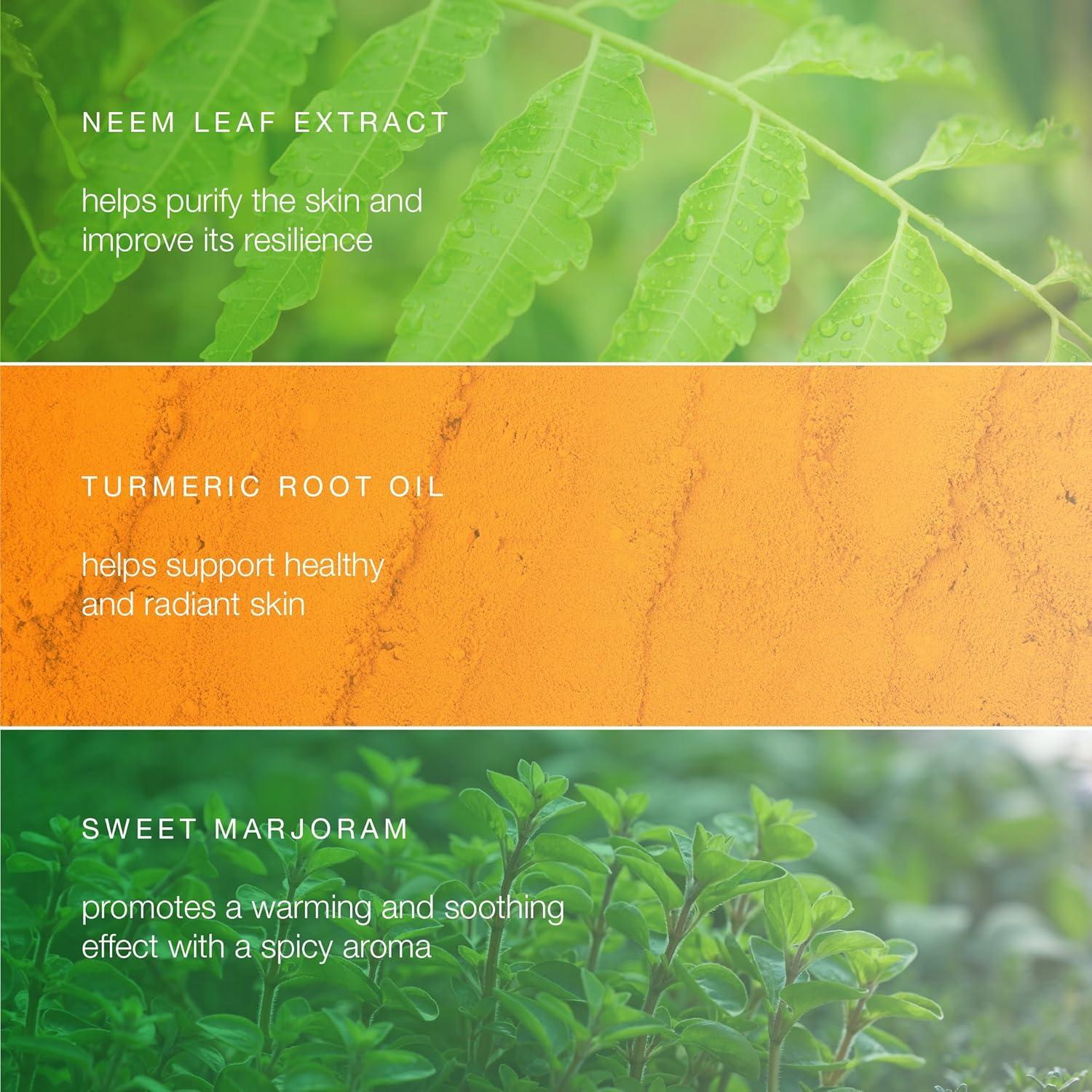 Limpiador Facial Equilibrante Himalaya Neem y Cúrcuma 150 ml