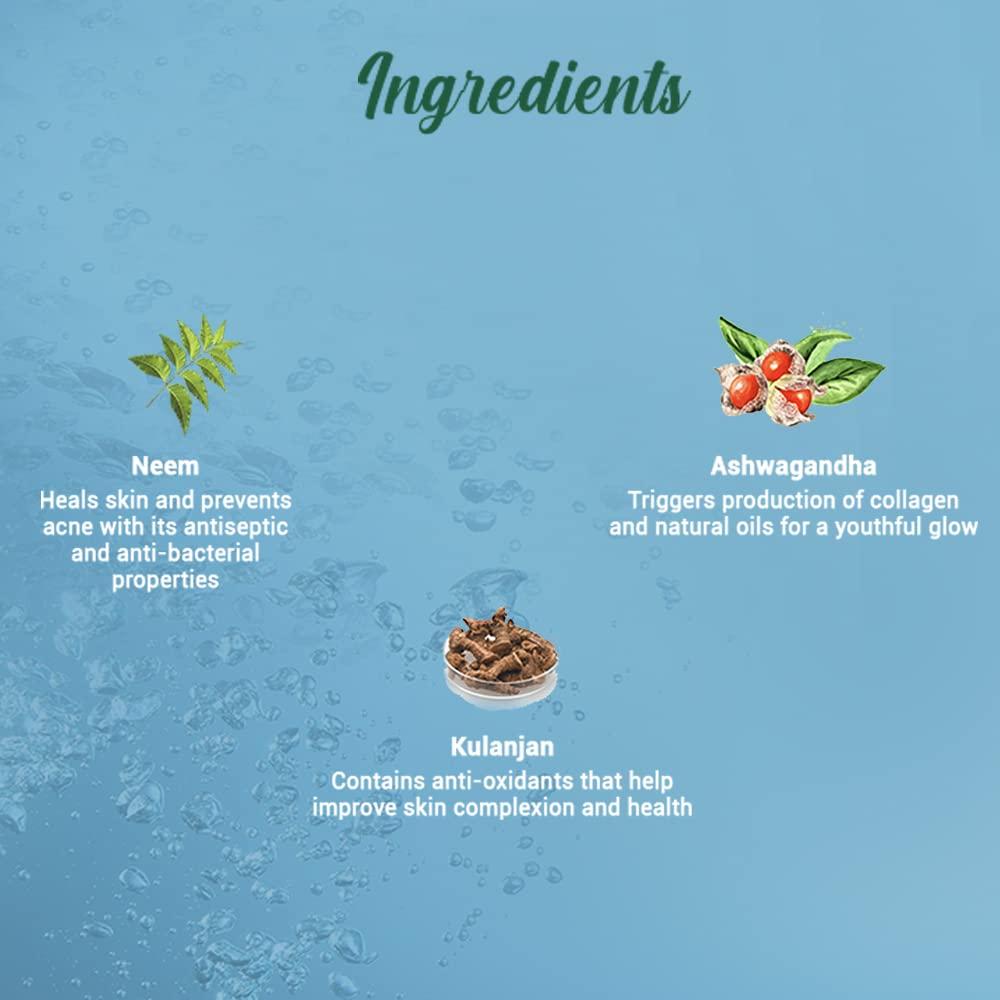 Limpiador Facial Purificante Biotique Bio Neem 150ml