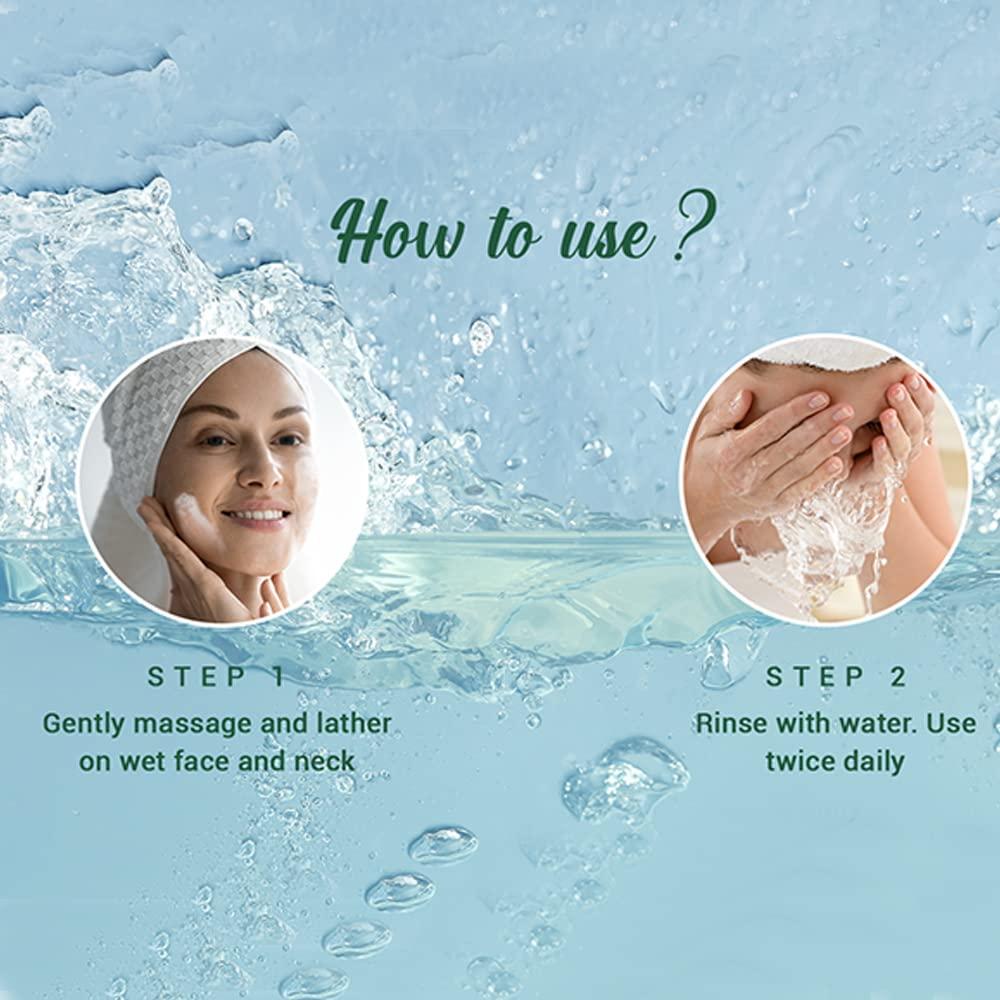 Limpiador Facial Purificante Biotique Bio Neem 150ml