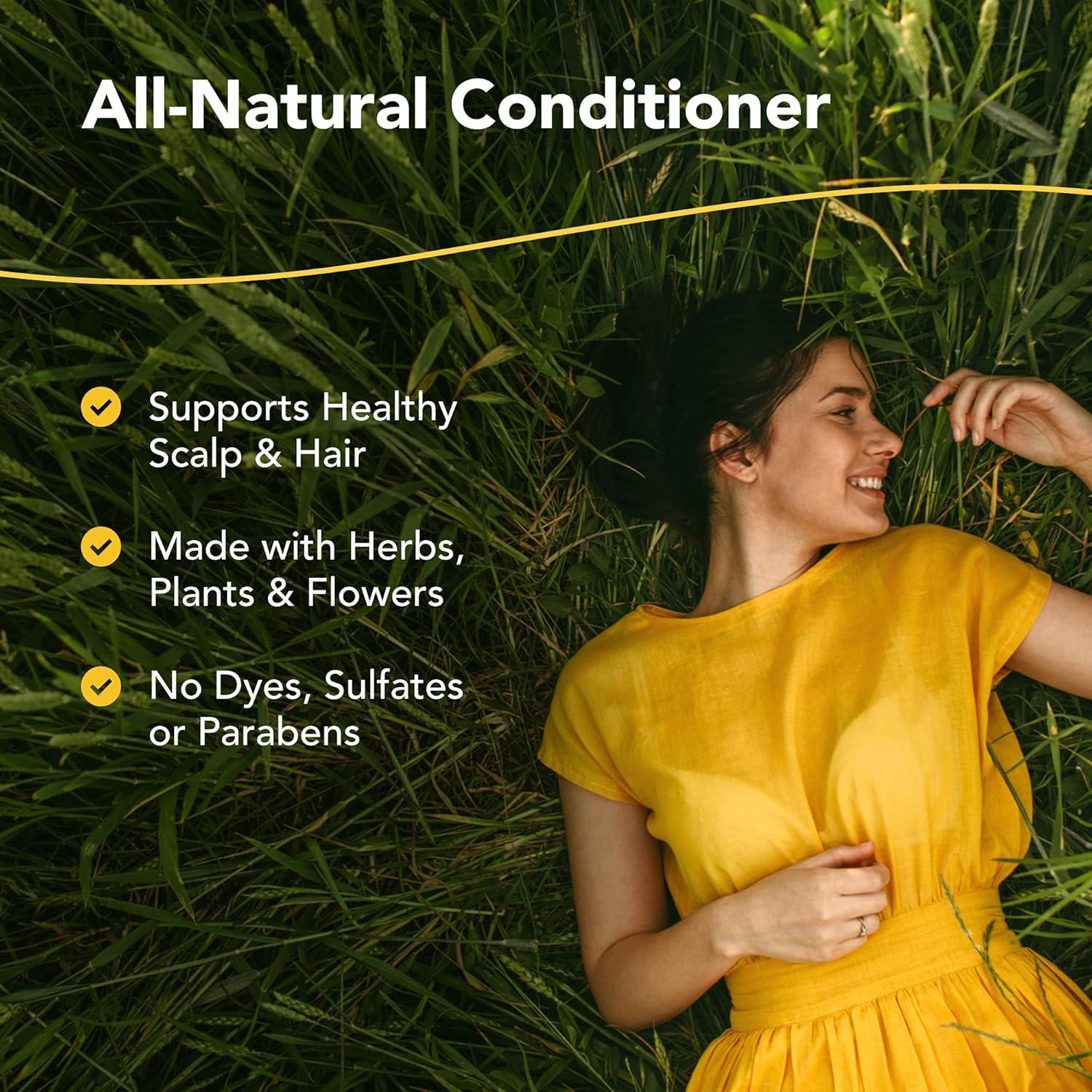 Acondicionador Natural ScalpClenz North American Herb & Spice 240 ml - Sin Sulfatos ni Petroquímicos