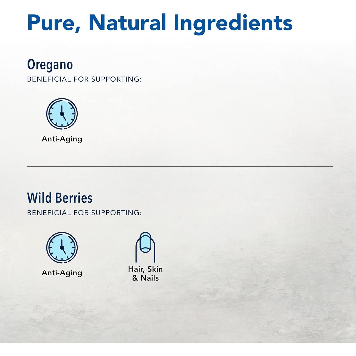 Acondicionador Natural ScalpClenz North American Herb & Spice 240 ml - Sin Sulfatos ni Petroquímicos