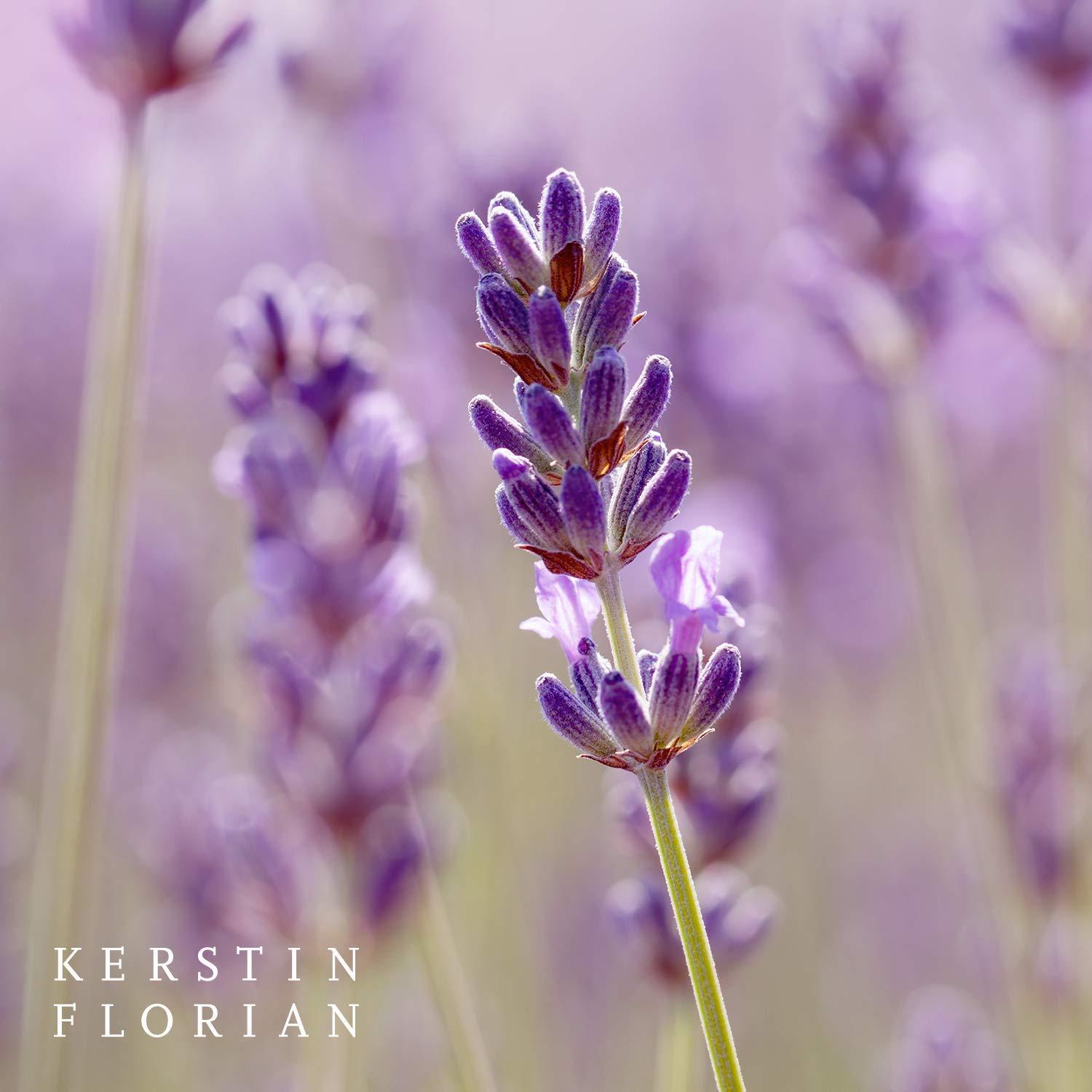 Aceite Facial Hidratante Orgánico Kerstin Florian 29.57 ml