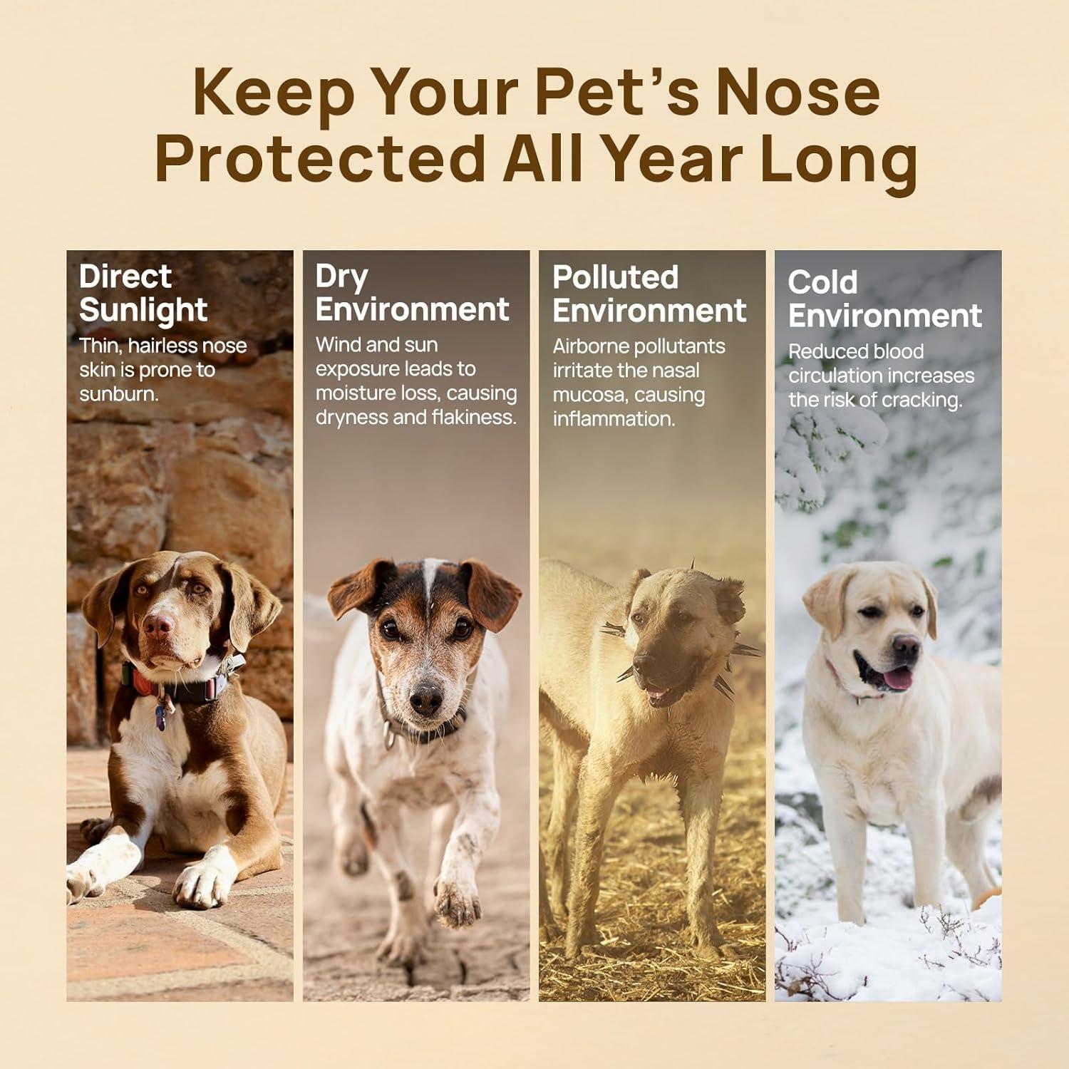 Bálsamo Hidratante para Narices de Perros y Gatos HICC PET 30g