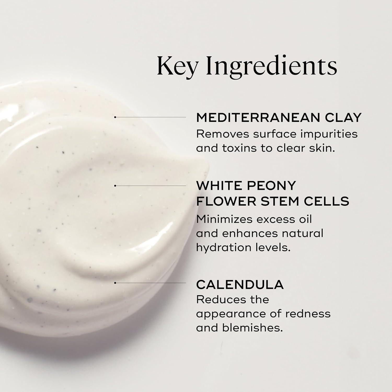 Mascarilla Detox EVER Purify 59 ml - Arcilla Kaolin y AHA/BHA