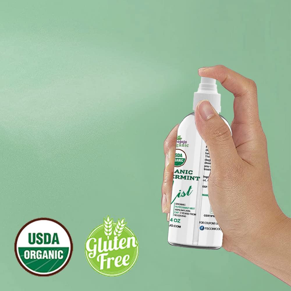 Spray Facial Hidratante Dr Joe Lab Menta Orgánica 113.4 ml