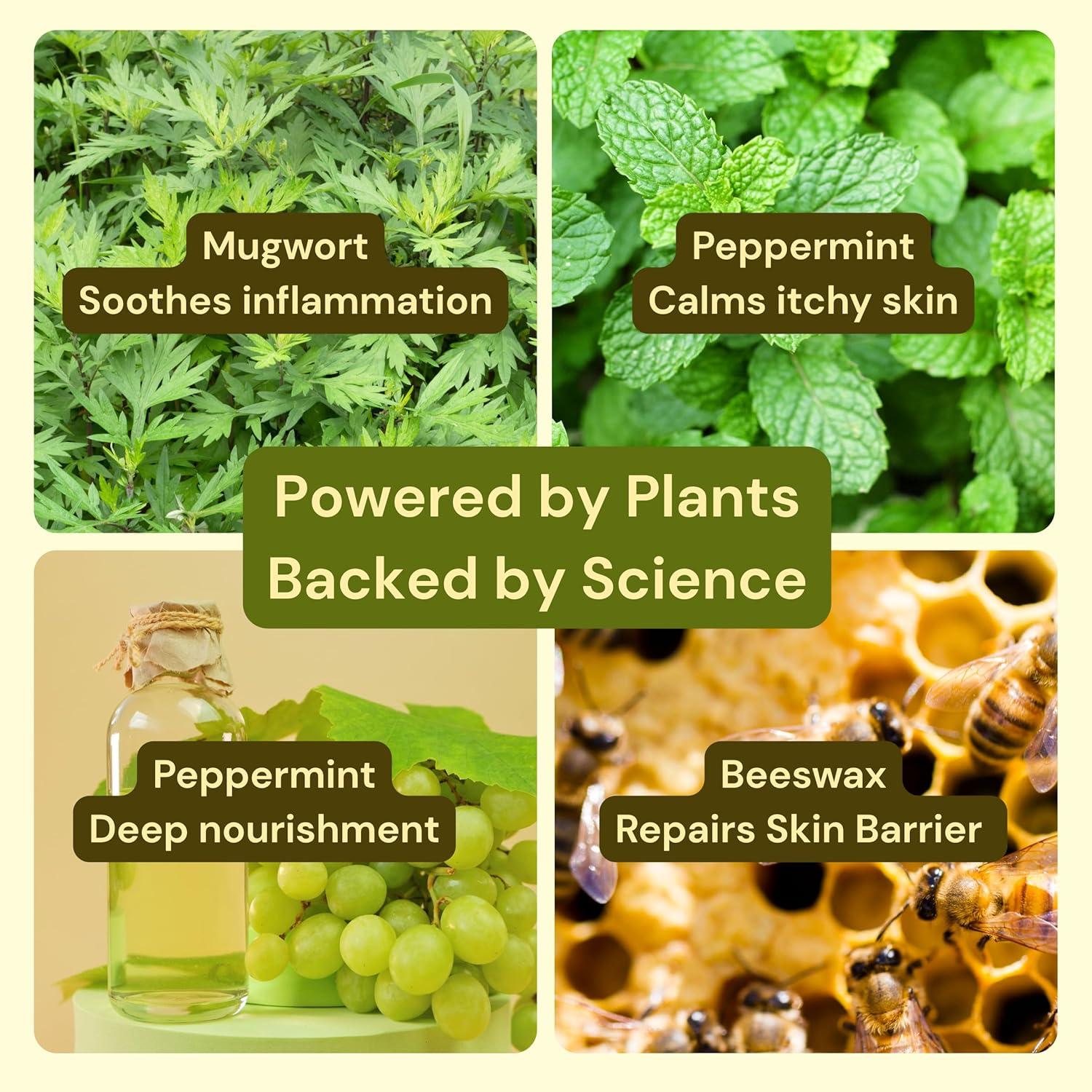 Crema Alivio Eczema Artemisa y Menta 30g Natural Orgánica