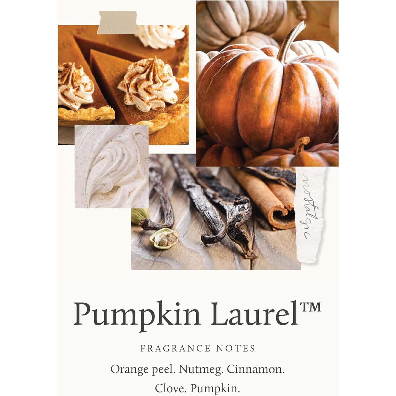 Jabón de Manos Espumoso Thymes Calabaza Laurel 284 g