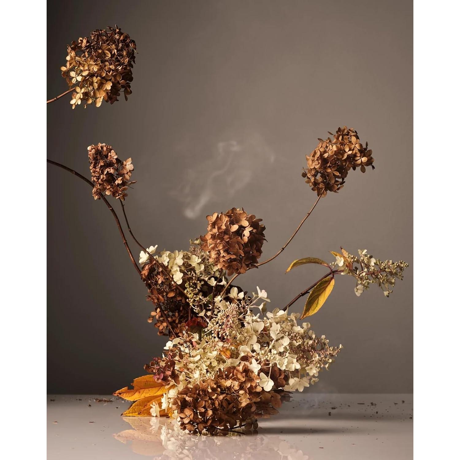 Lavado de Manos Homecourt Cece 2.0 354.88 ml Hidratante