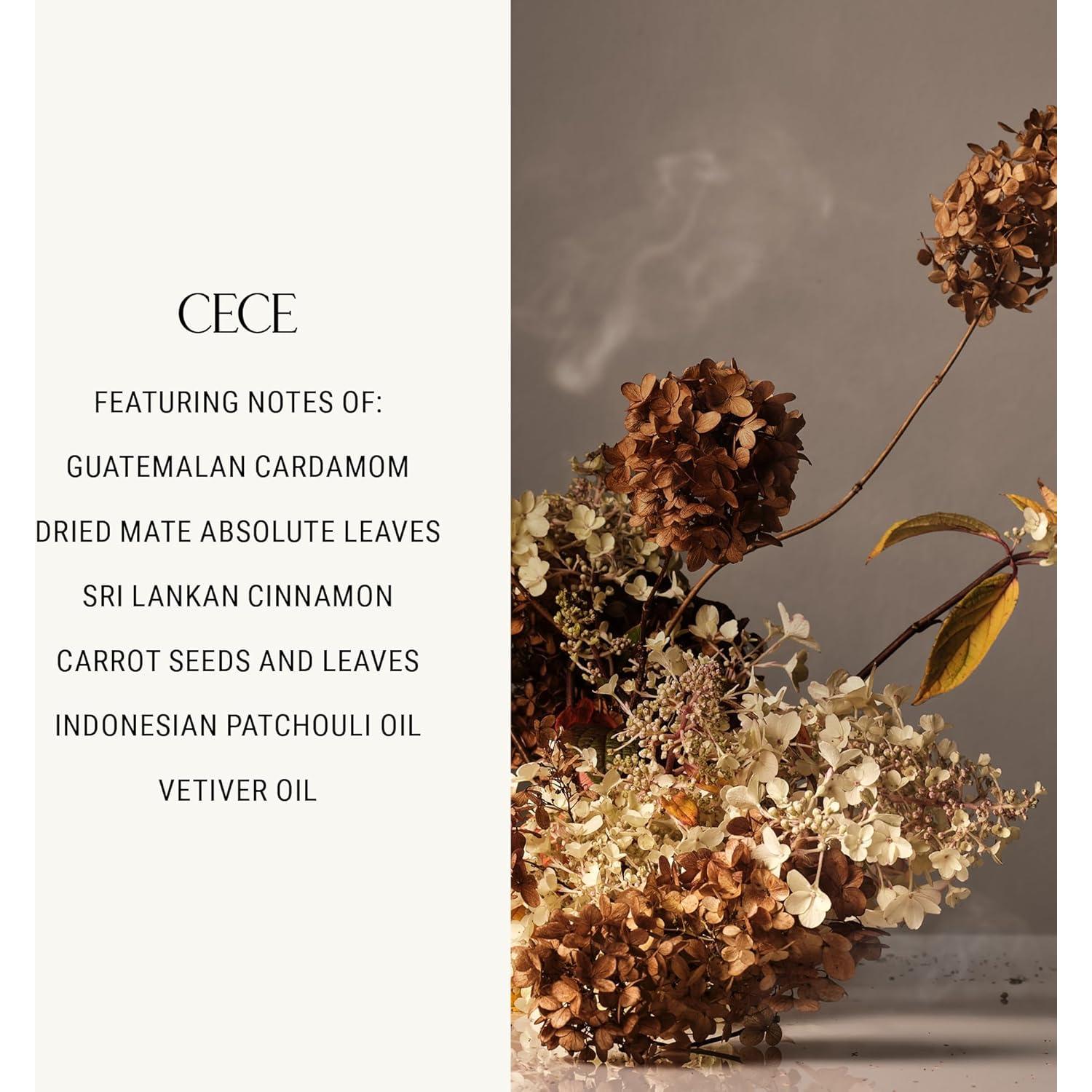 Lavado de Manos Homecourt Cece 2.0 354.88 ml Hidratante