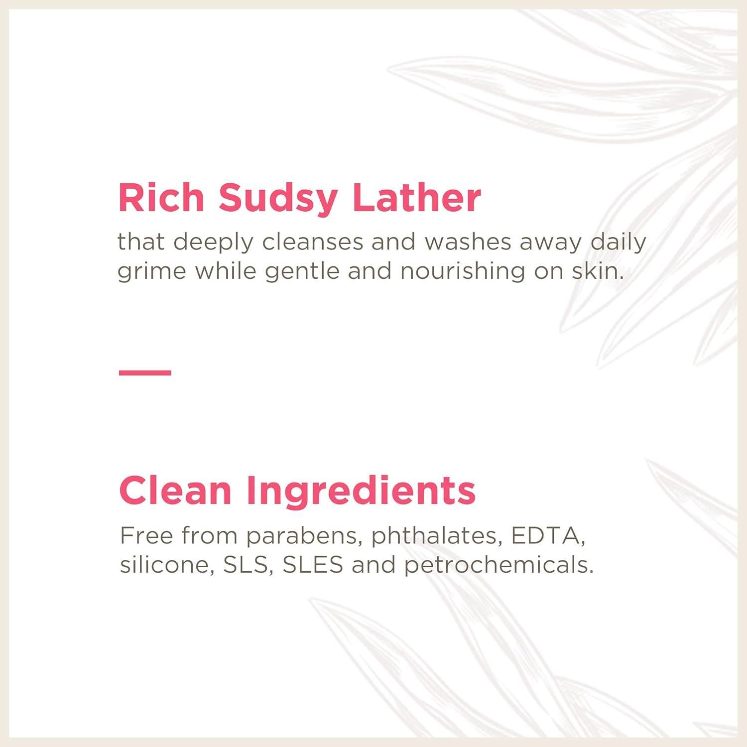 Jabón Espumoso de Manos Soapbox Sandía & Albahaca 311ml - Paquete de 3