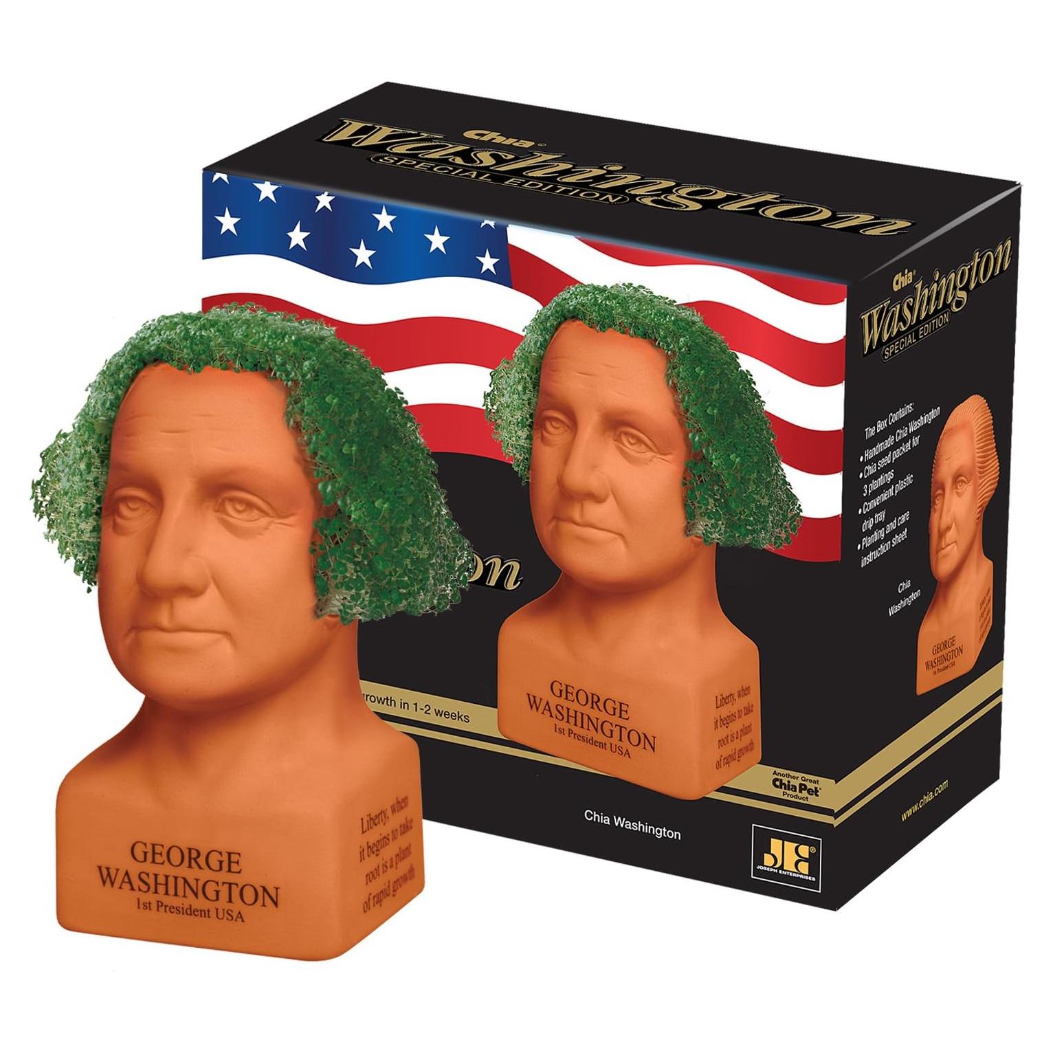 Chia Pet George Washington - Maceta Cerámica con Semillas