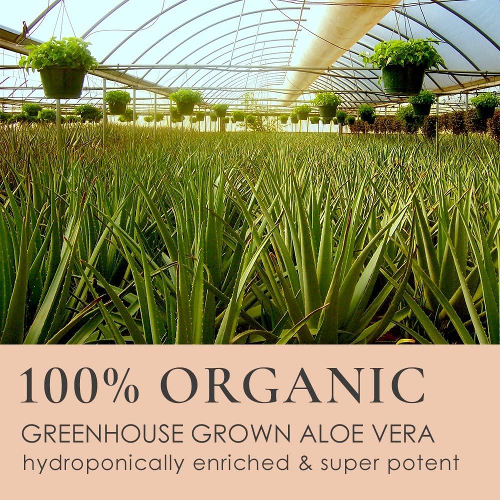 LEROSETT Limpiador Facial Gel Aloe 190.5g - Vegano Spa