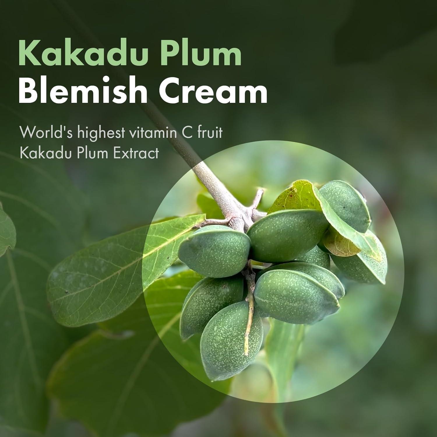 Crema para Imperfecciones TOSOWOONG Kakadu Plum 50g