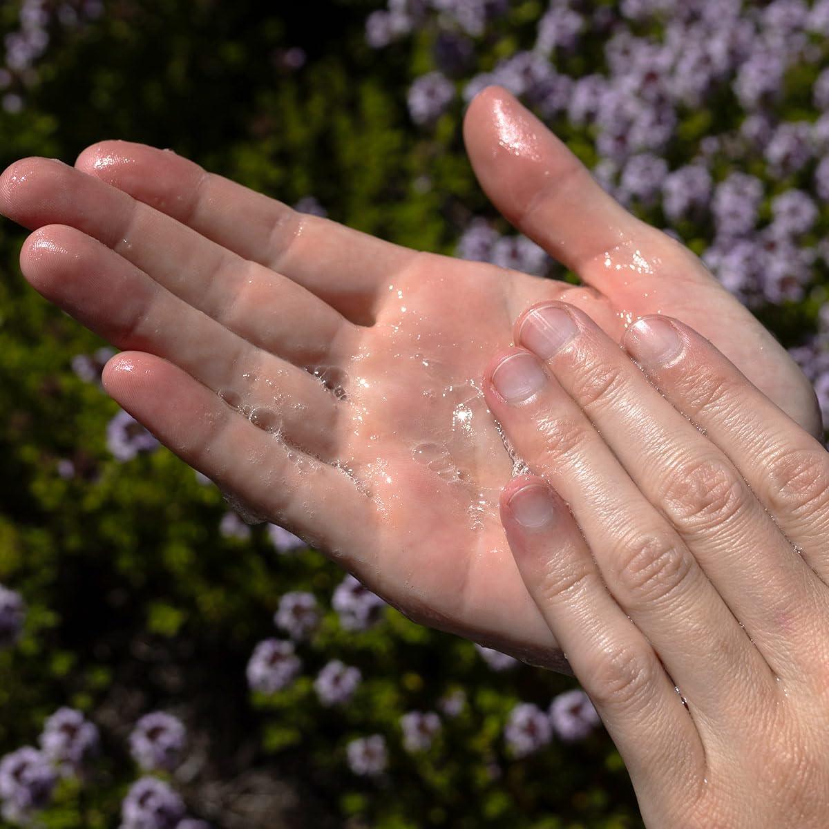 Gel Limpiador de Árbol de Té evanhealy 113g - Piel Grasa y Normal