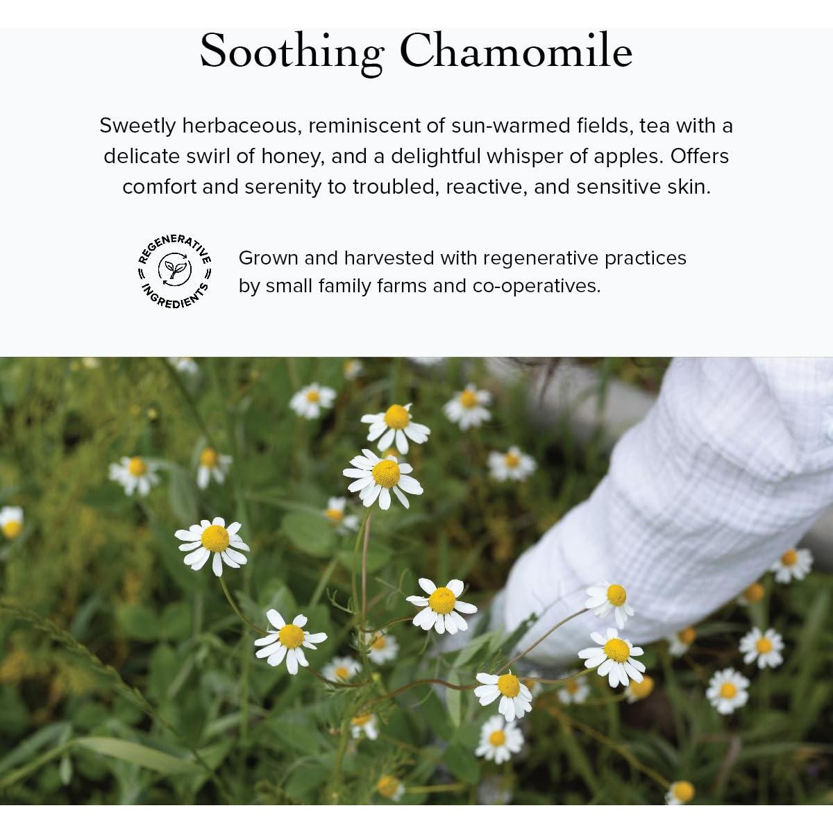 Gel Limpiador de Árbol de Té evanhealy 113g - Piel Grasa y Normal