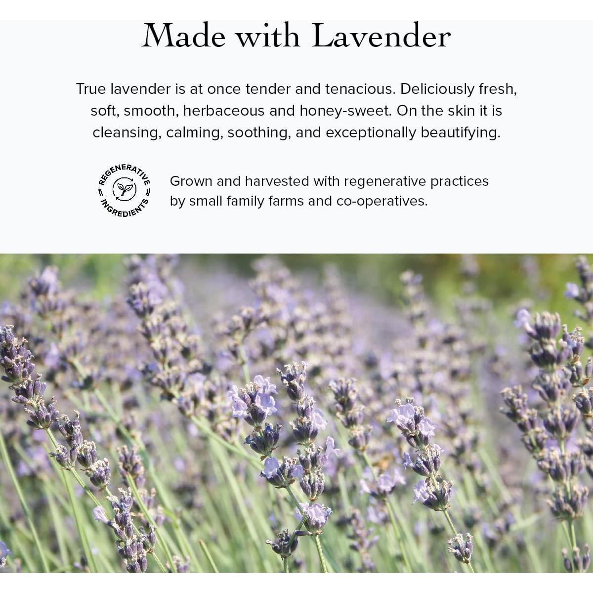 Gel Limpiador de Árbol de Té evanhealy 113g - Piel Grasa y Normal