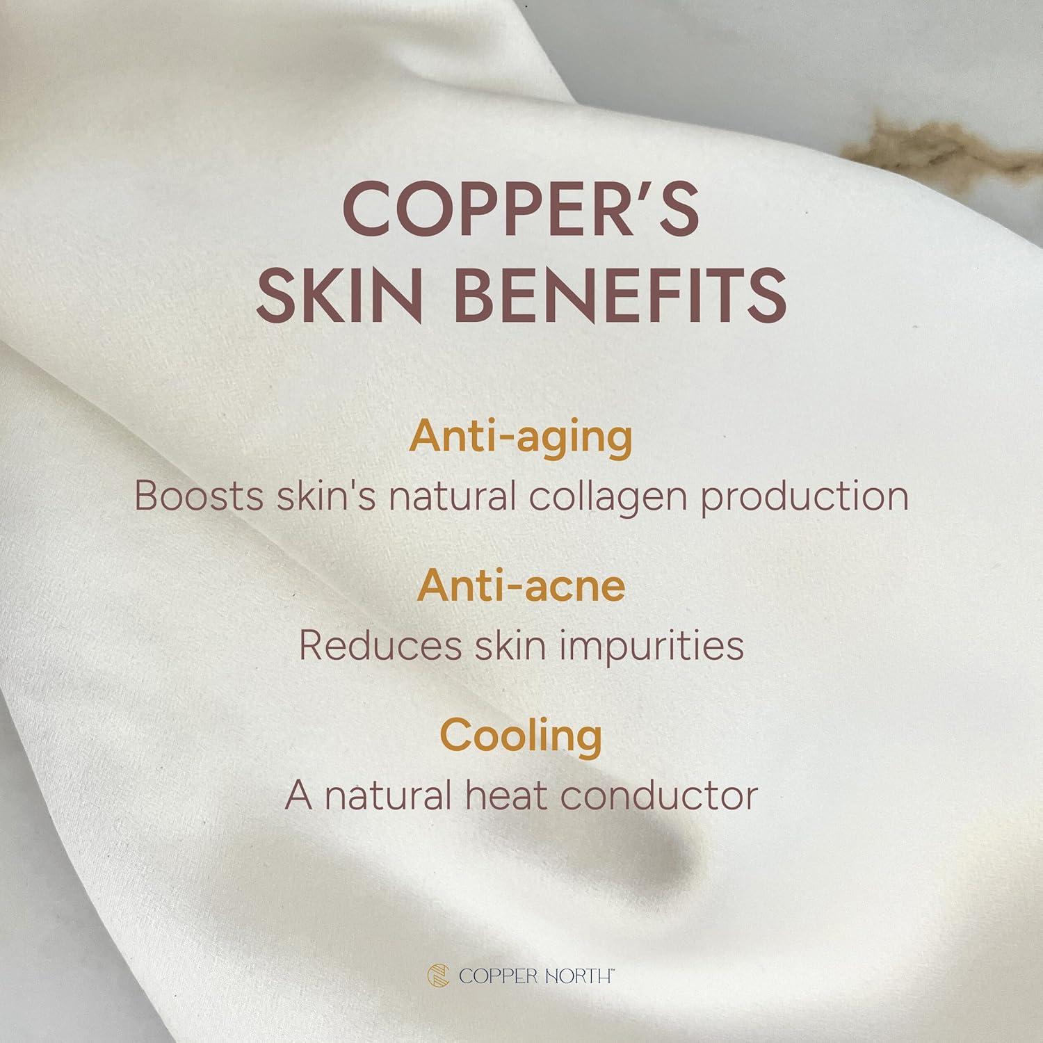 Funda de Almohada Copper North 100% Seda Morera 22 Momme Azul