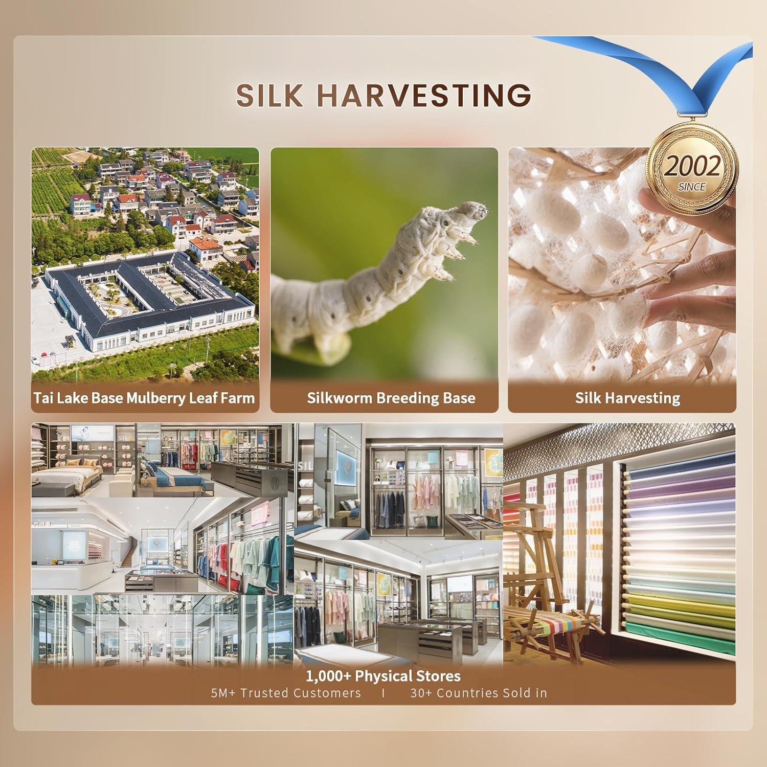 Juego de Funda de Edredón 3 Piezas THXSILK Seda Morera Reina Carbón