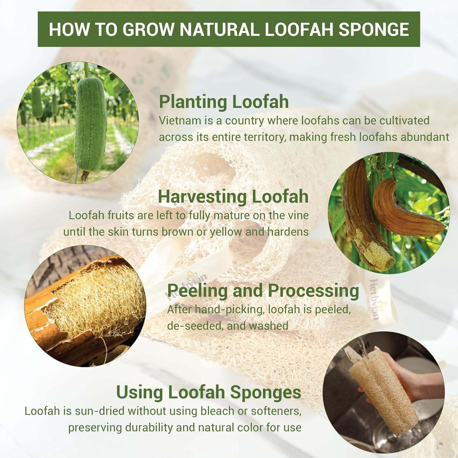 Set de Cuidado Natural - Jabón de Cúrcuma y Persimón con Esponja de Lufa