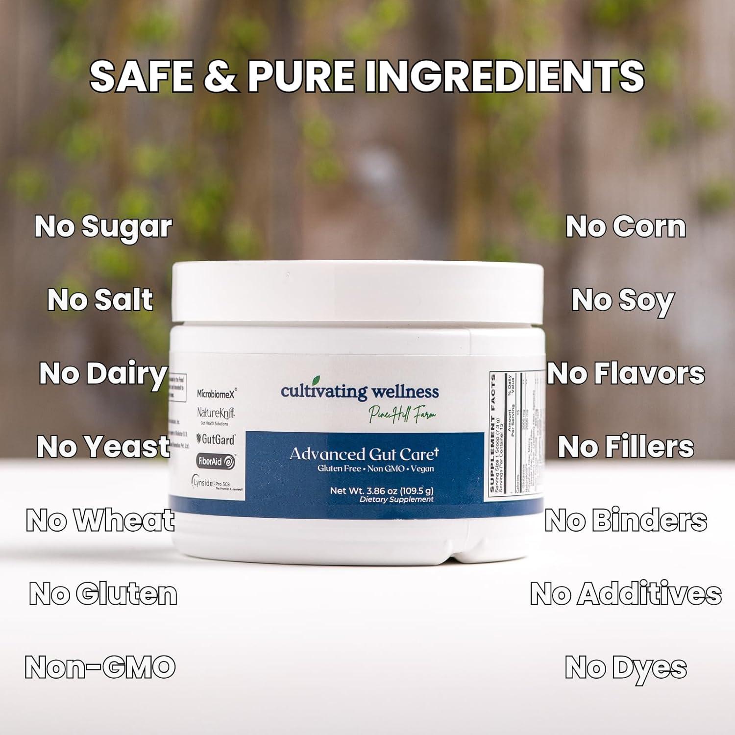 Polvo Avanzado para Cuidado Intestinal PINE HILL FARM 65g