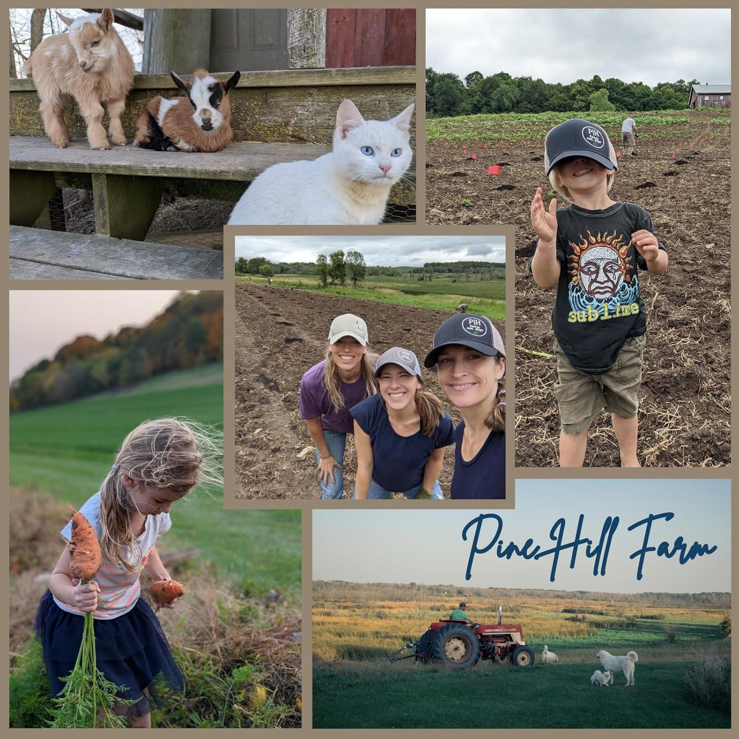 Polvo Avanzado para Cuidado Intestinal PINE HILL FARM 65g