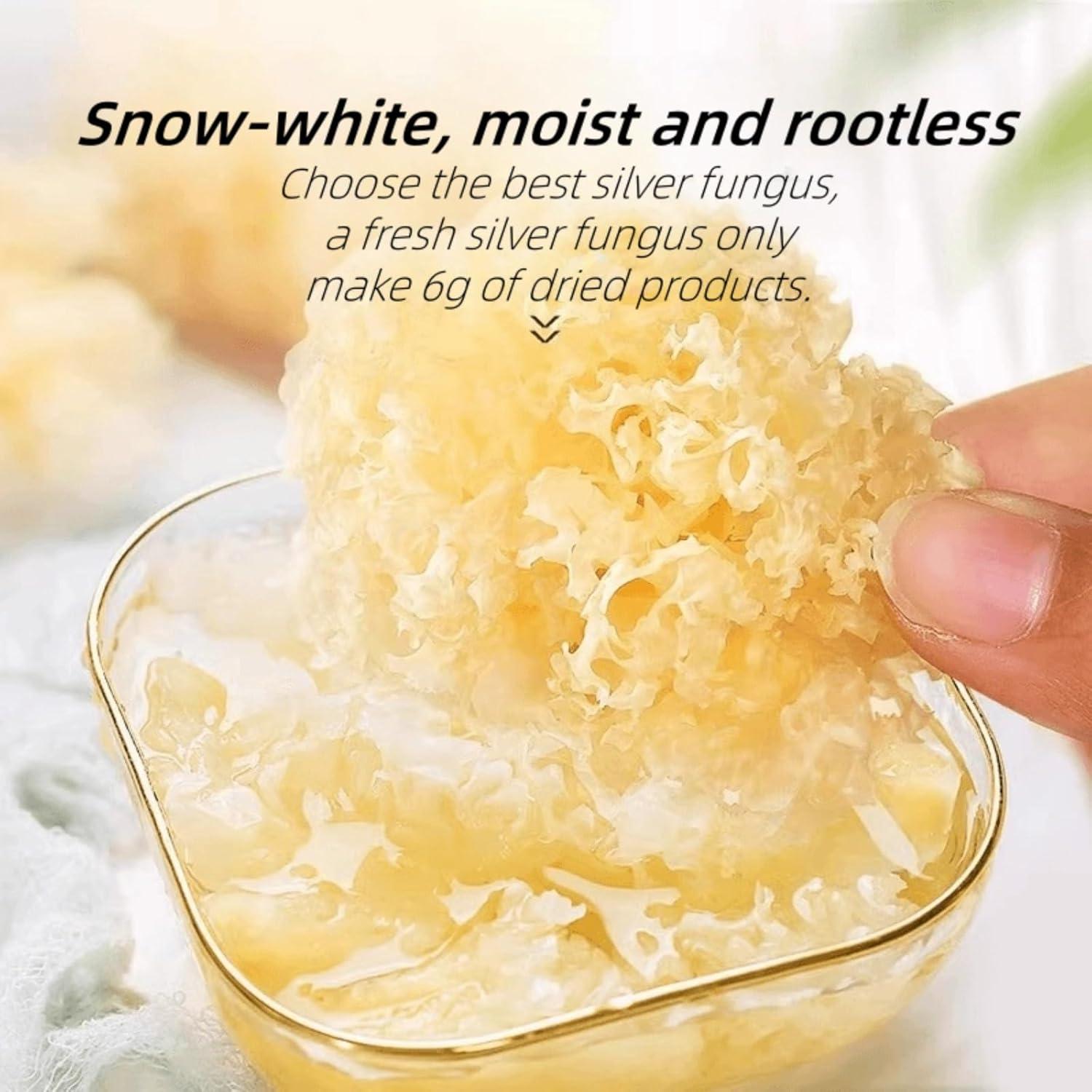 Hongo de Nieve Seco Premium WXYTYSFA 120g Vegano Sin Gluten