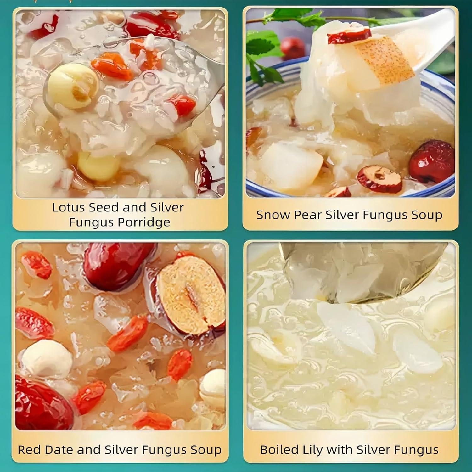 Hongo de Nieve Seco Premium WXYTYSFA 120g Vegano Sin Gluten