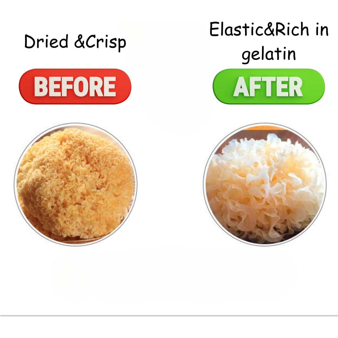 Hongo de Nieve Fuciformis Royal Seafood USA 113.4g